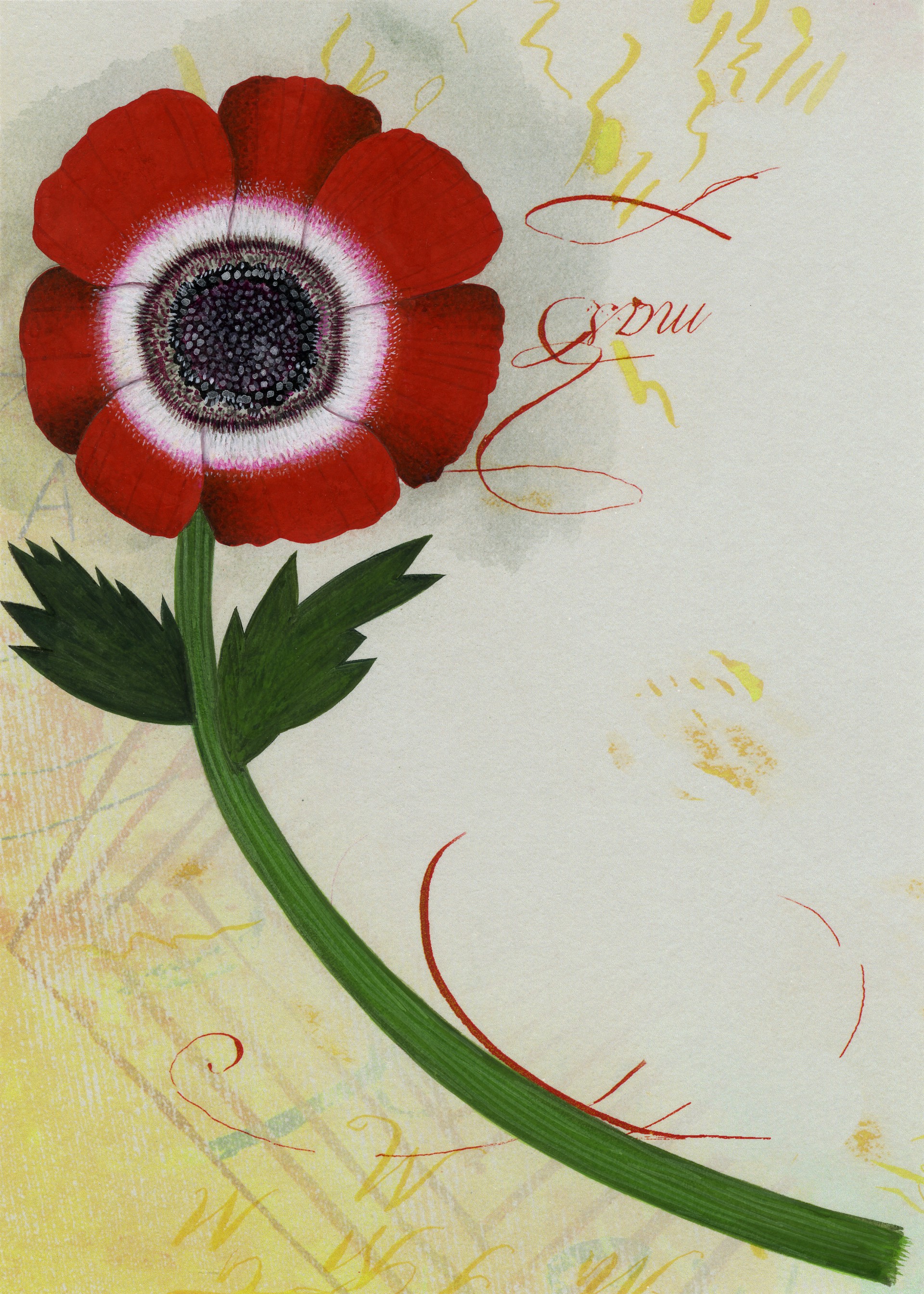 Anemone by Anne Smith
