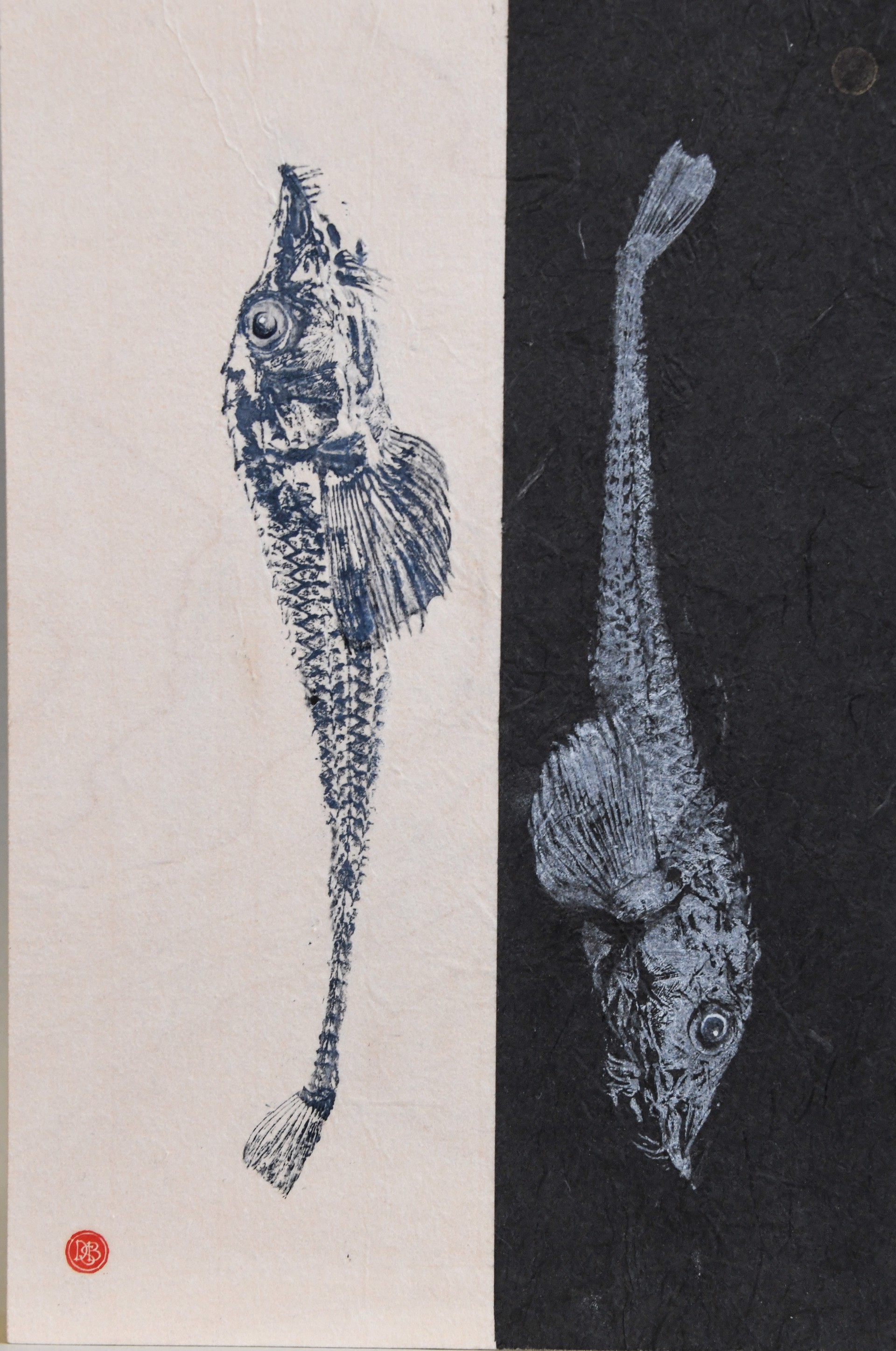 Sturgeon Poacher by Duncan Berry RiverSea Gallery