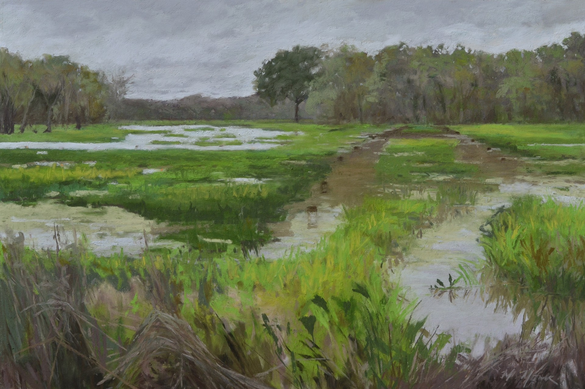 Overcast Rice Fields by Mary Monk