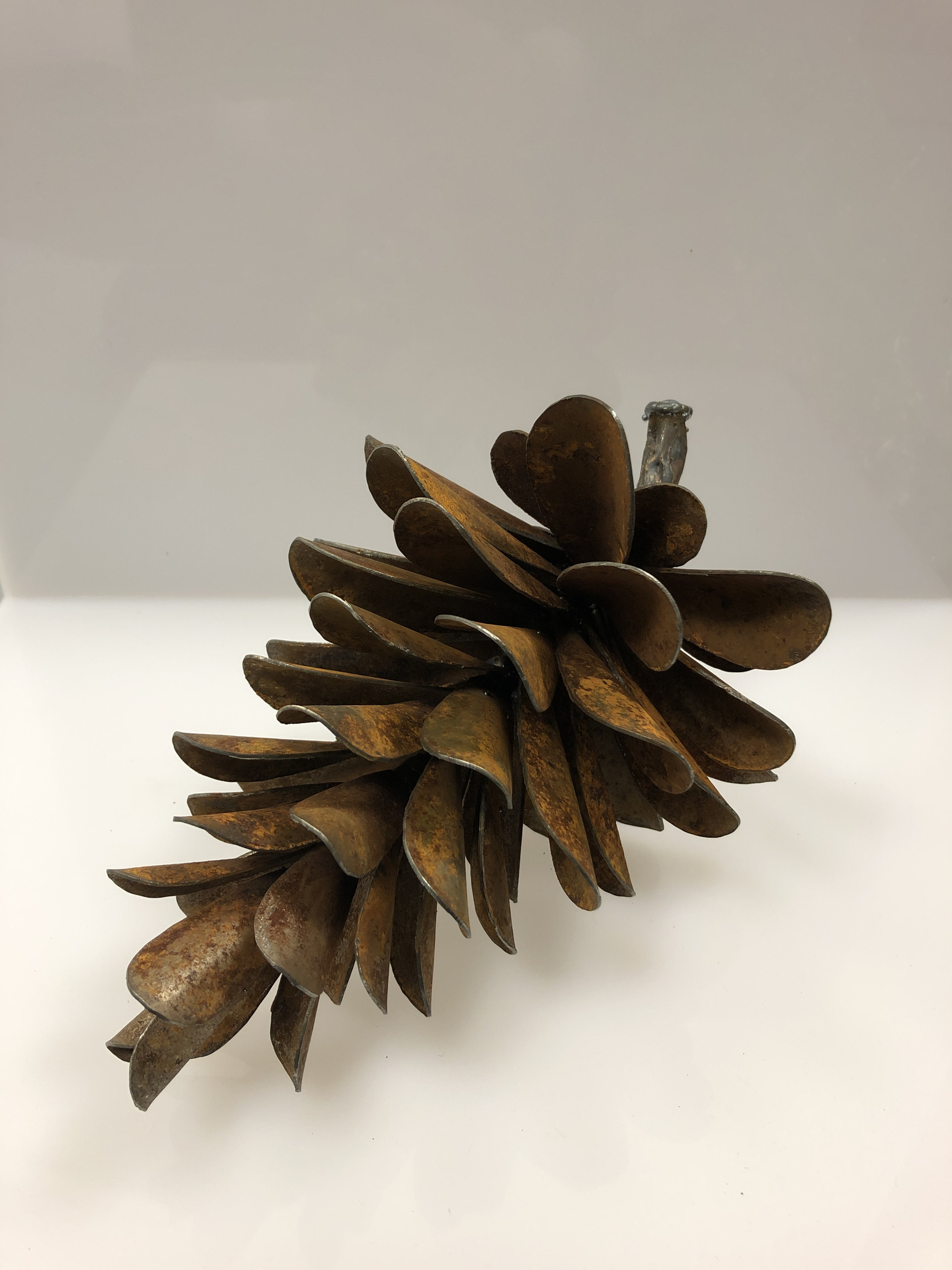 Pine Cone #19-735 by Floyd Elzinga