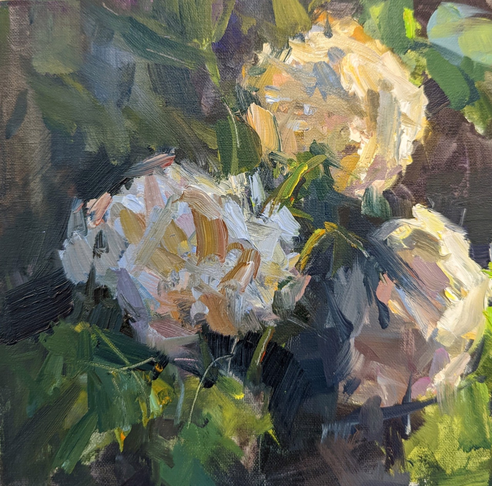 Fresh Blooms by Millie Gosch