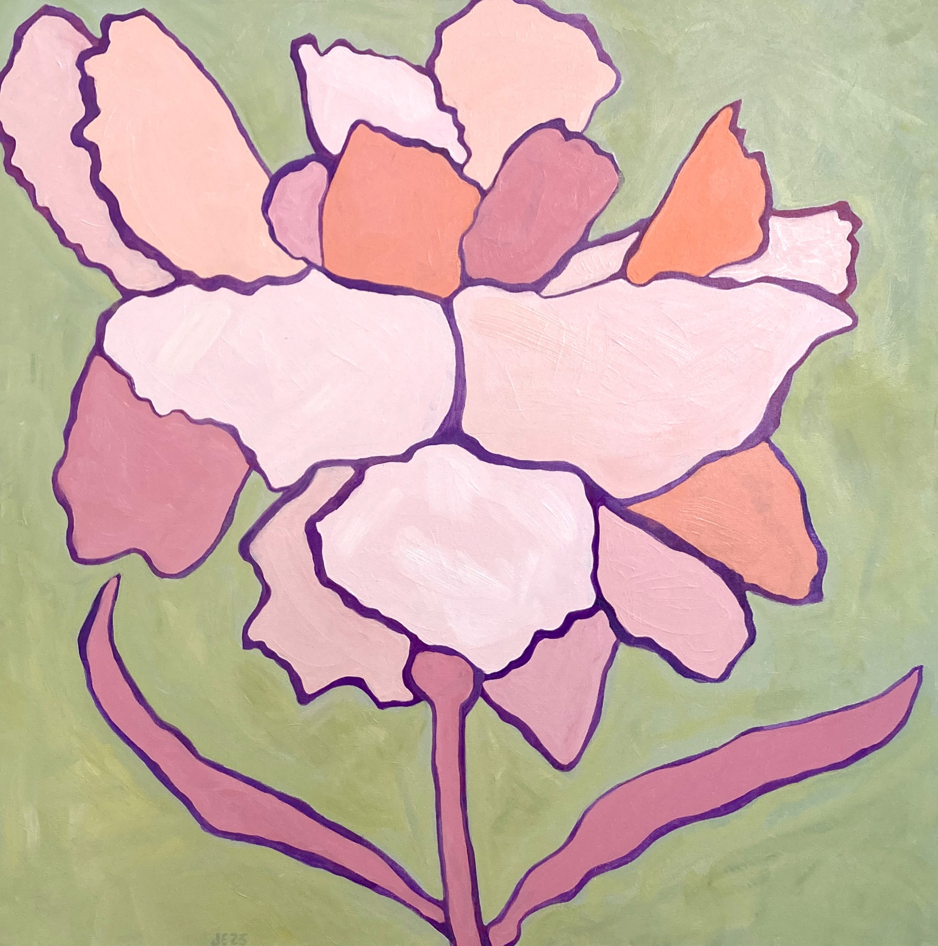 Flower Power: Carnation by Julia Einstein