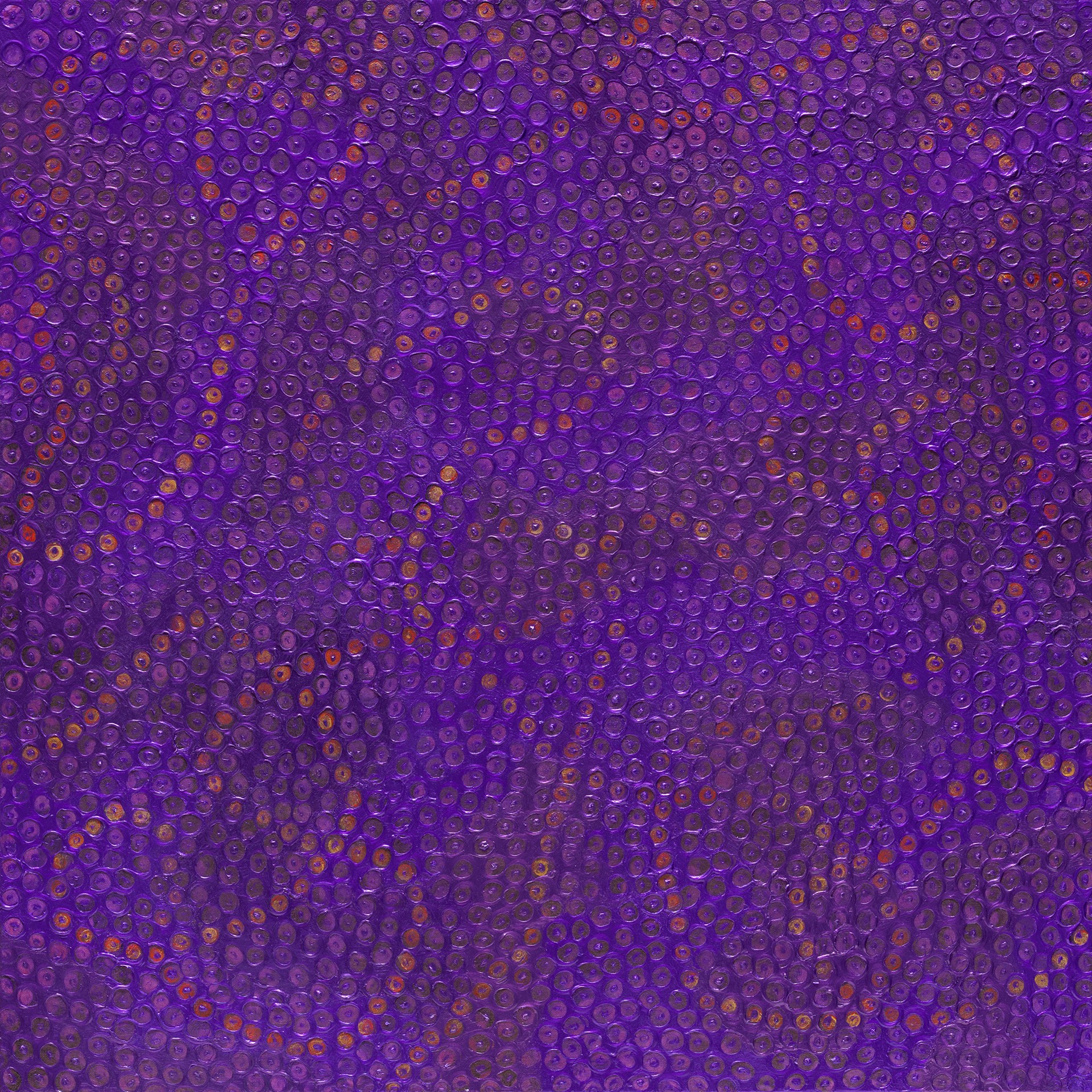 Broacades-Purple- Gold by Uma Rani Iyli