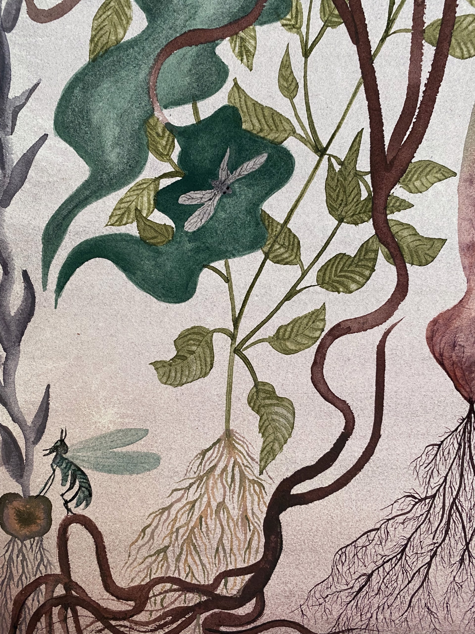 Tangled In The Veil by Alexandra Eastburn