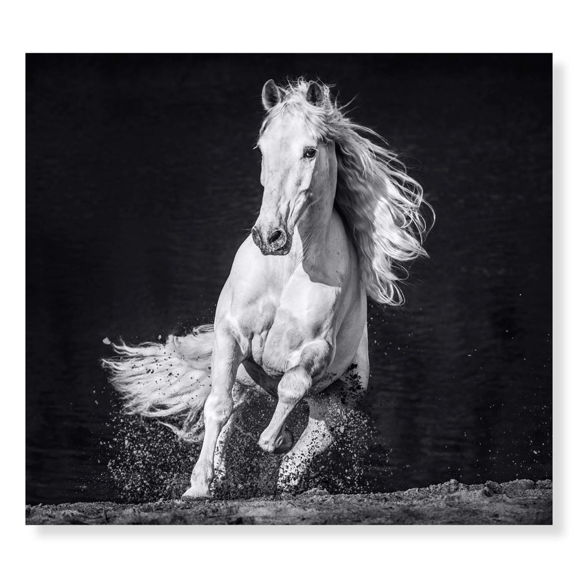 Horsepower by David Yarrow