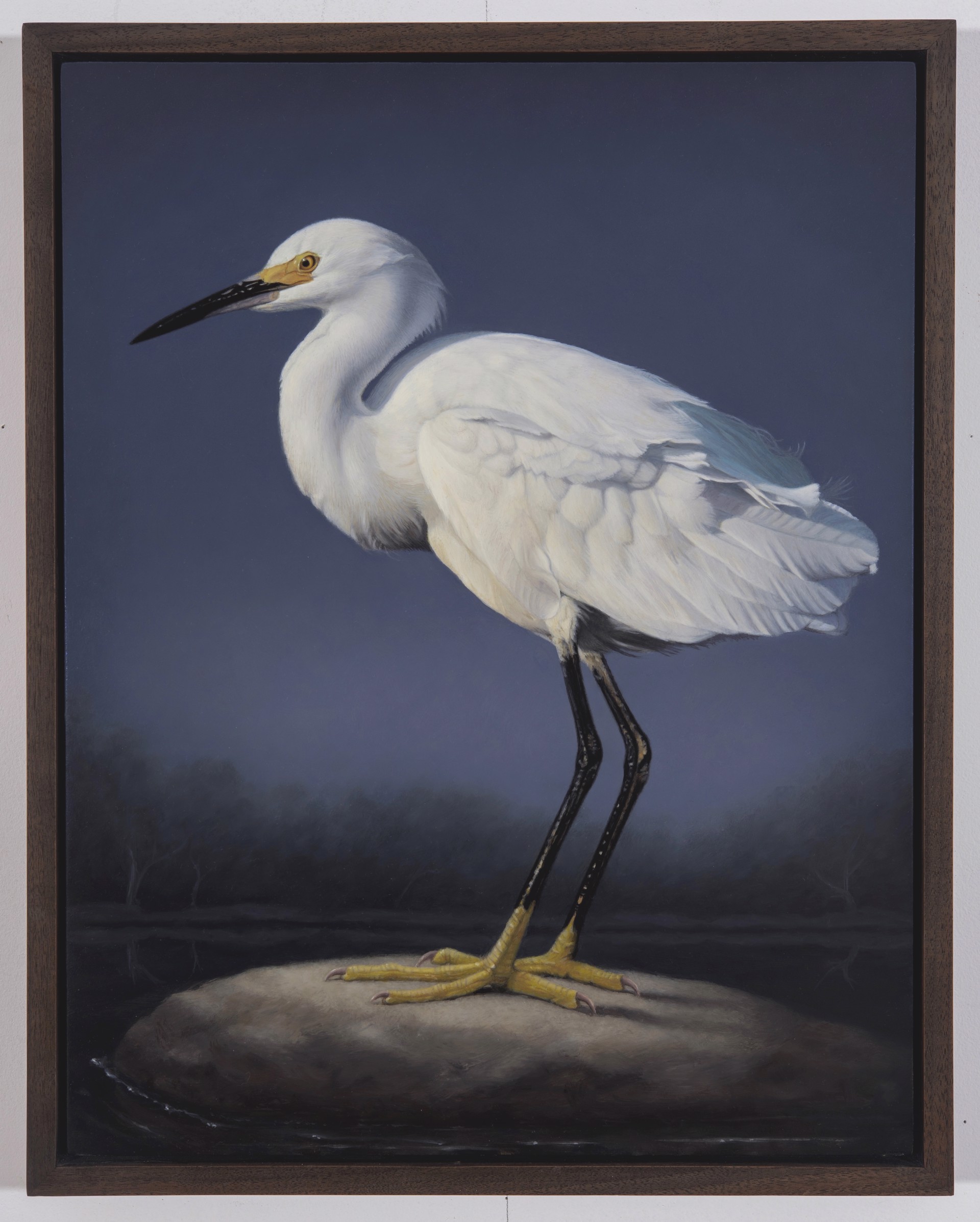 Snowy Egret by Susan McDonnell