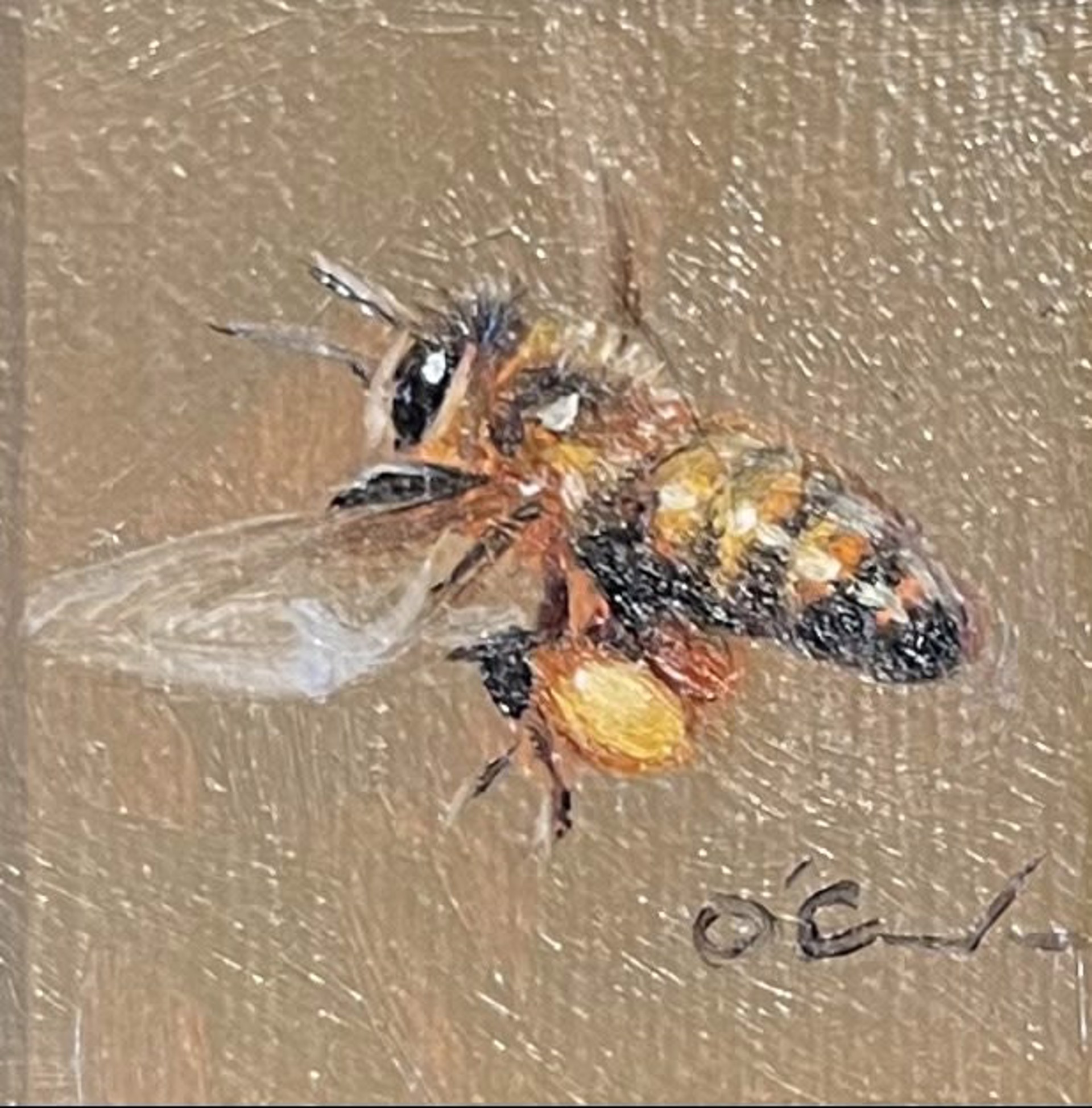 BEE SWIFT by Jennifer O'Cualain