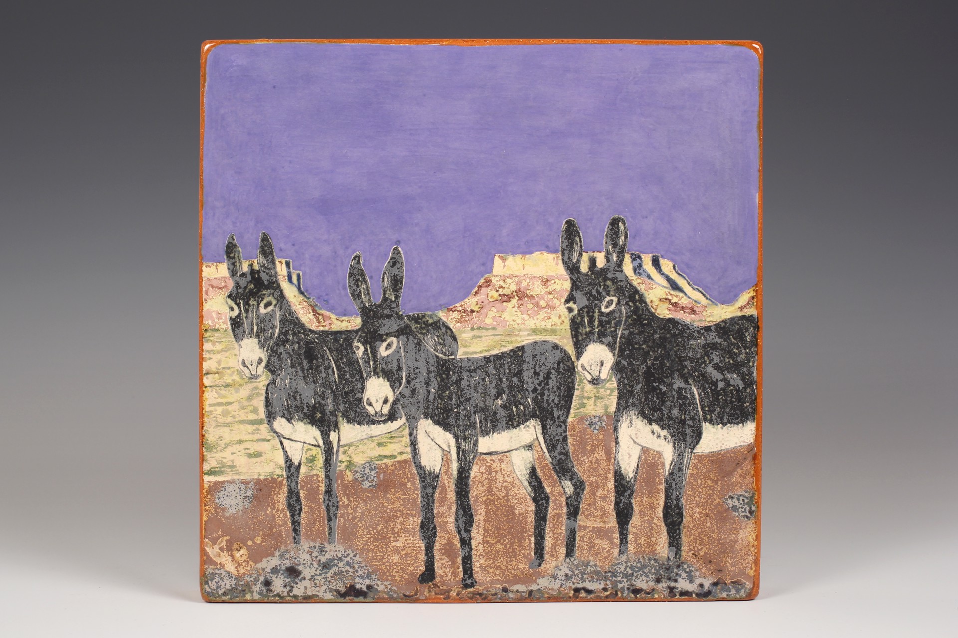 3 Donkeys by Wesley Anderegg