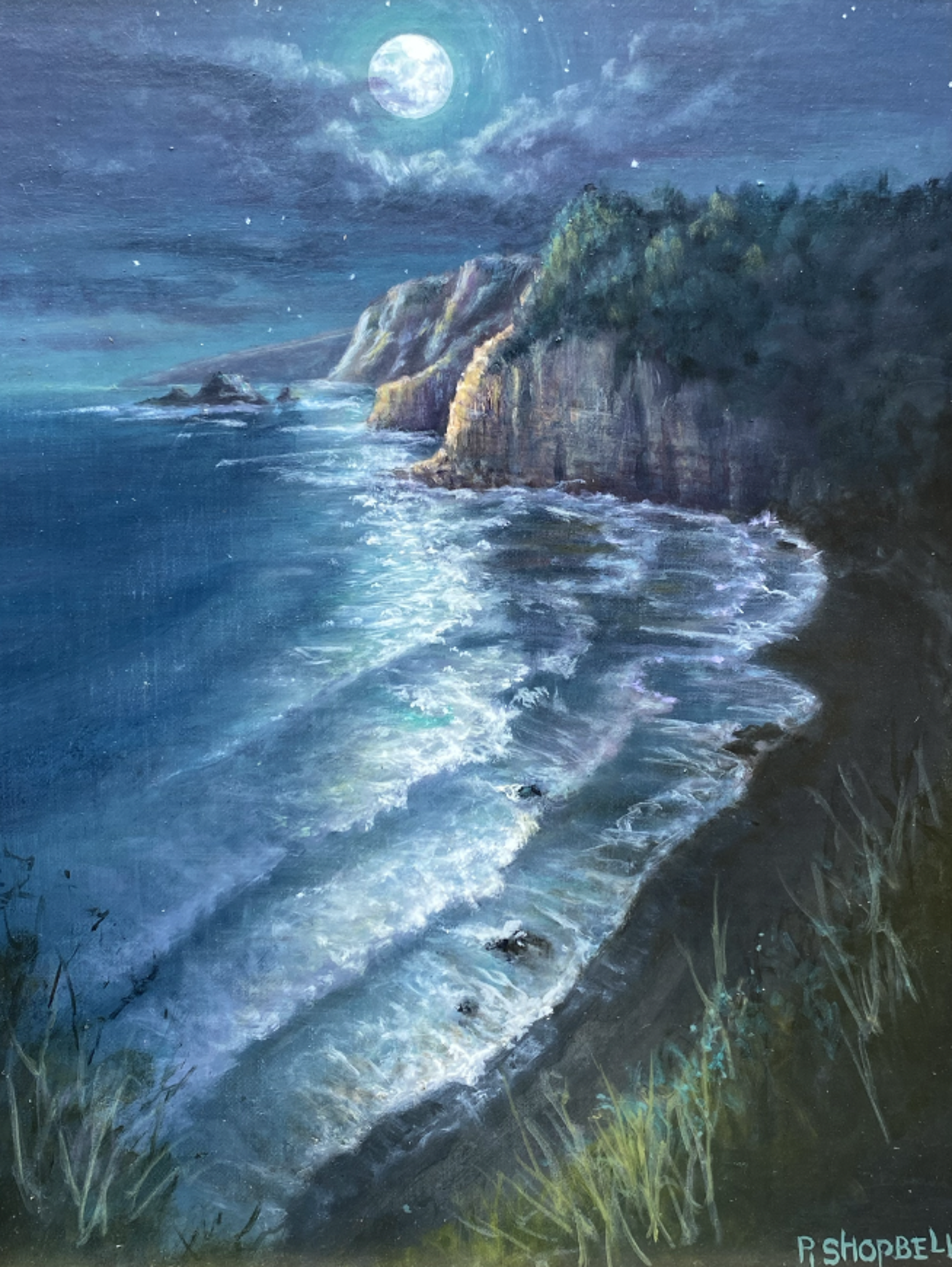 Pololū Moonlight by PJ Shopbell