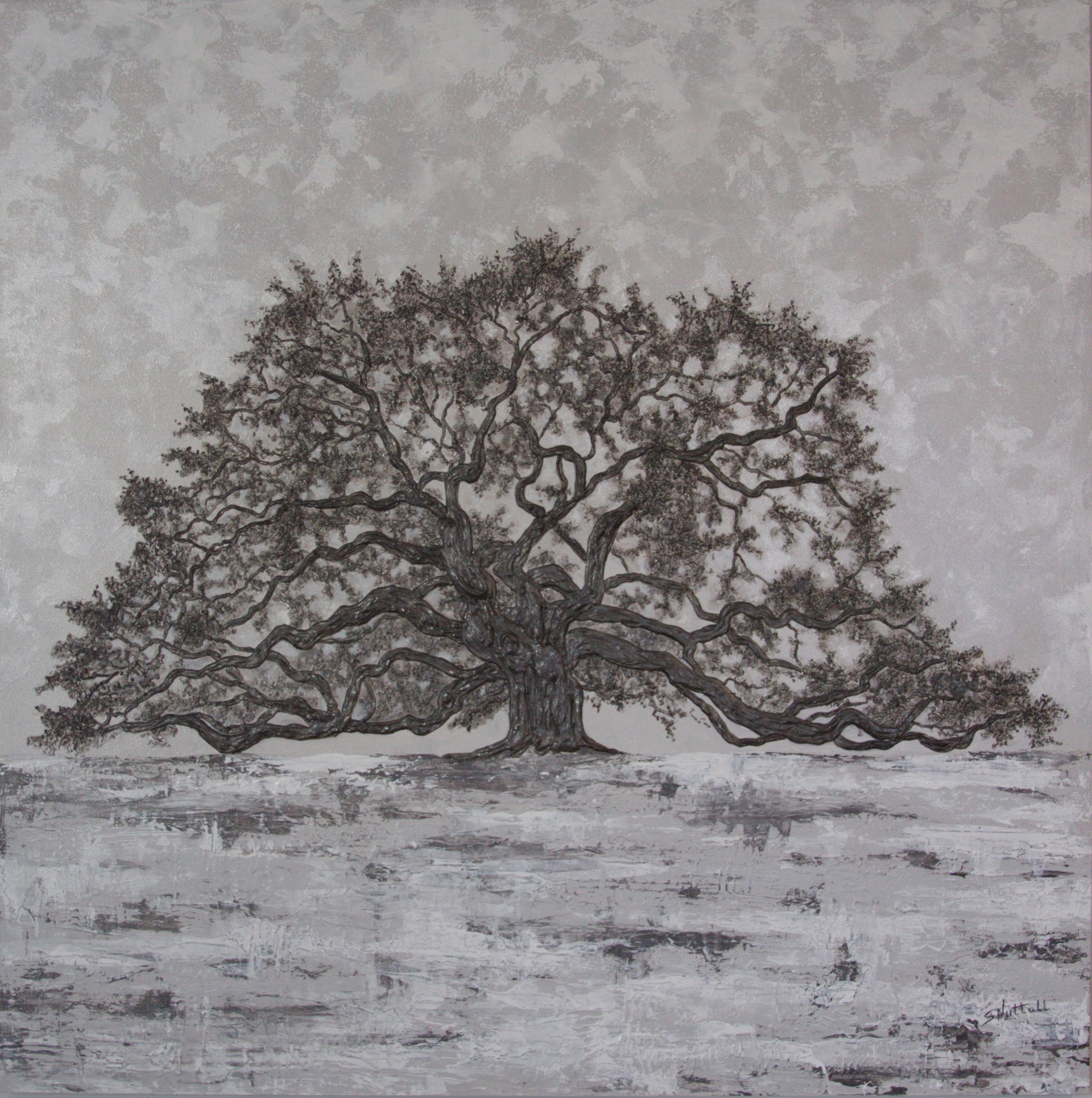 Angel Oak  by Susan Nuttall
