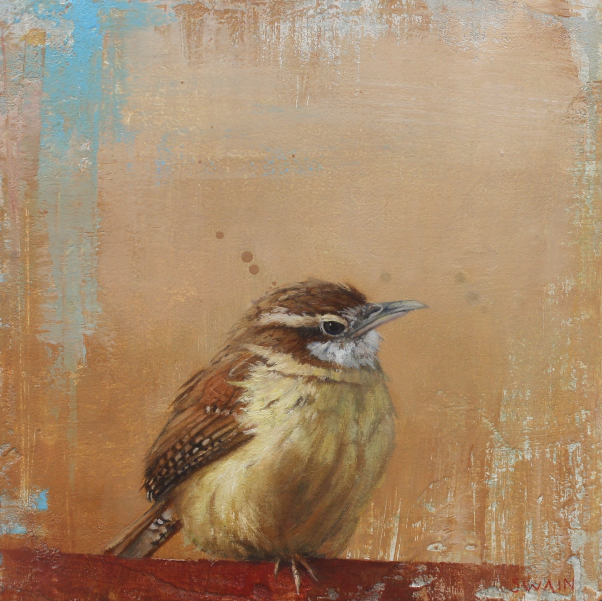 Young Wren Perched by Tyler Swain