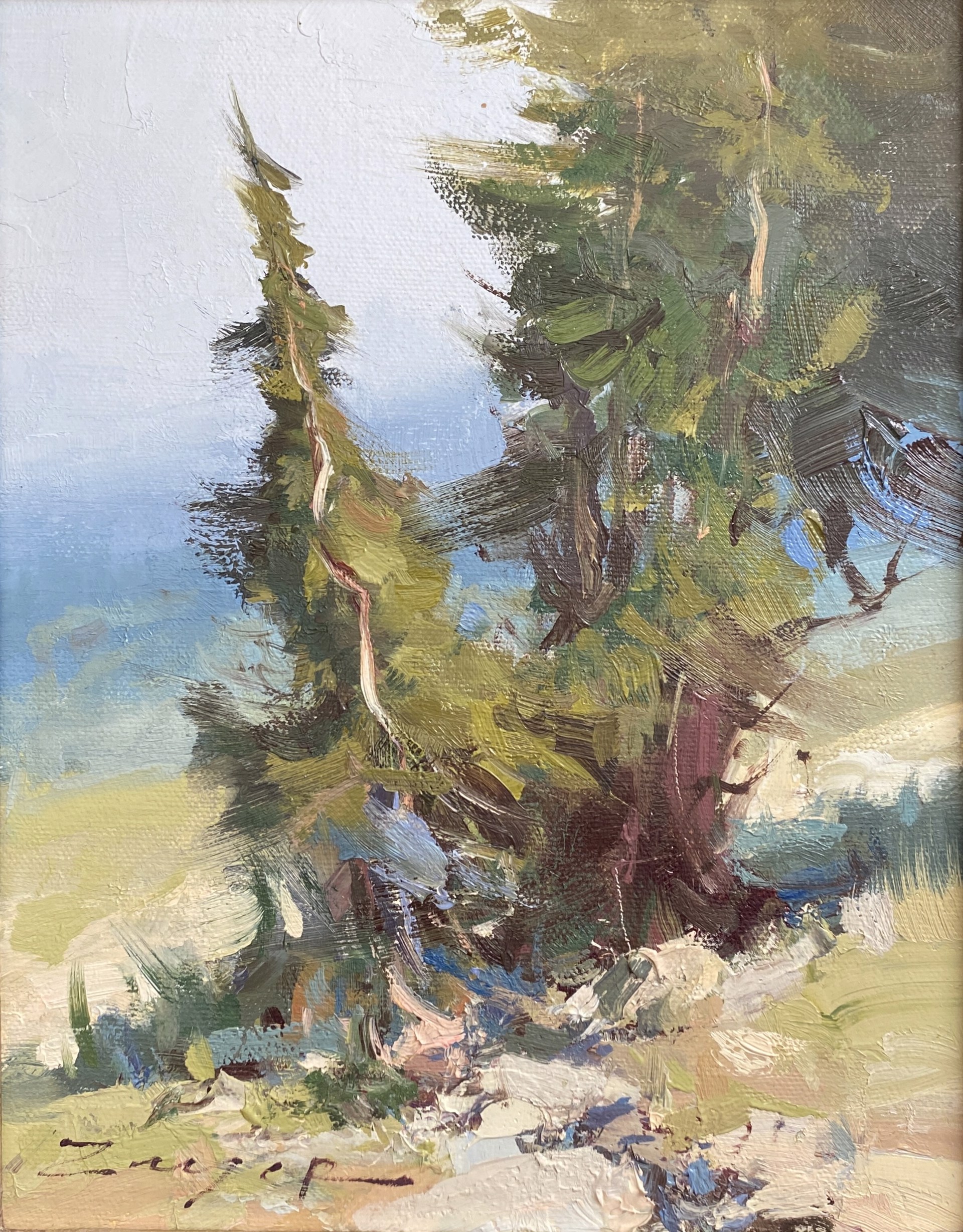 Mountain Sapling by Allie Zeyer