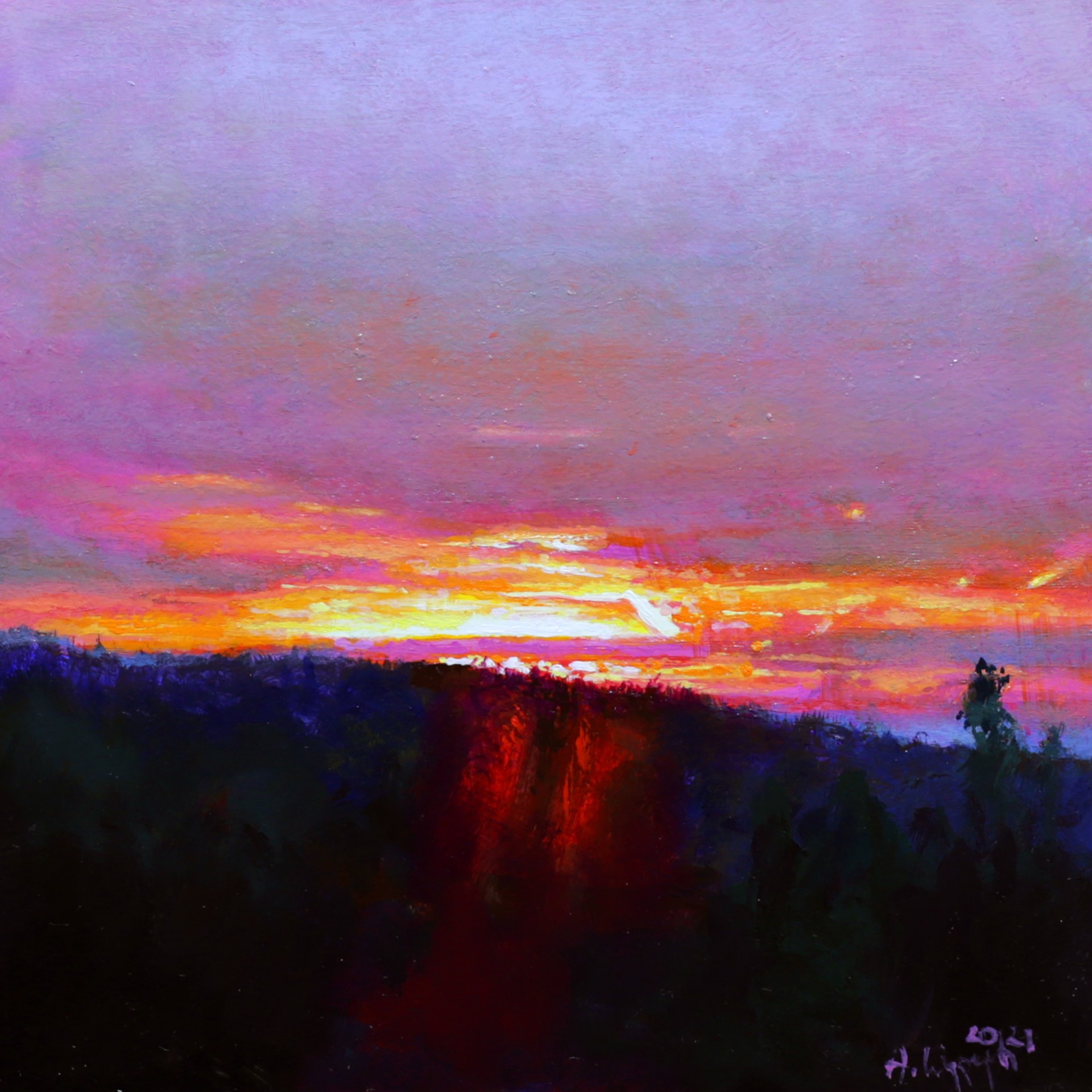 Pink Sunset by Anna Wypych