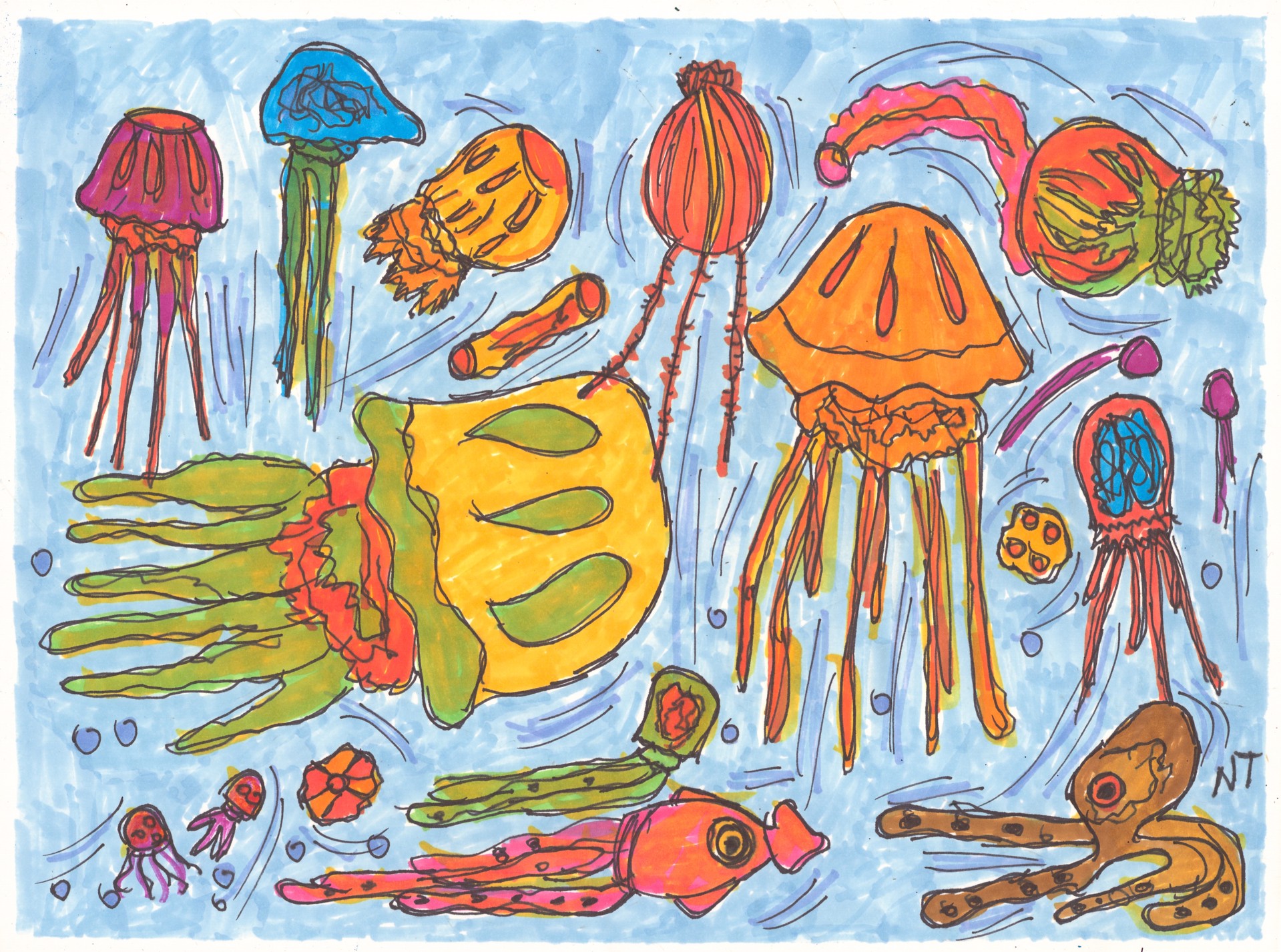 Jellyfish by Nonja Tiller