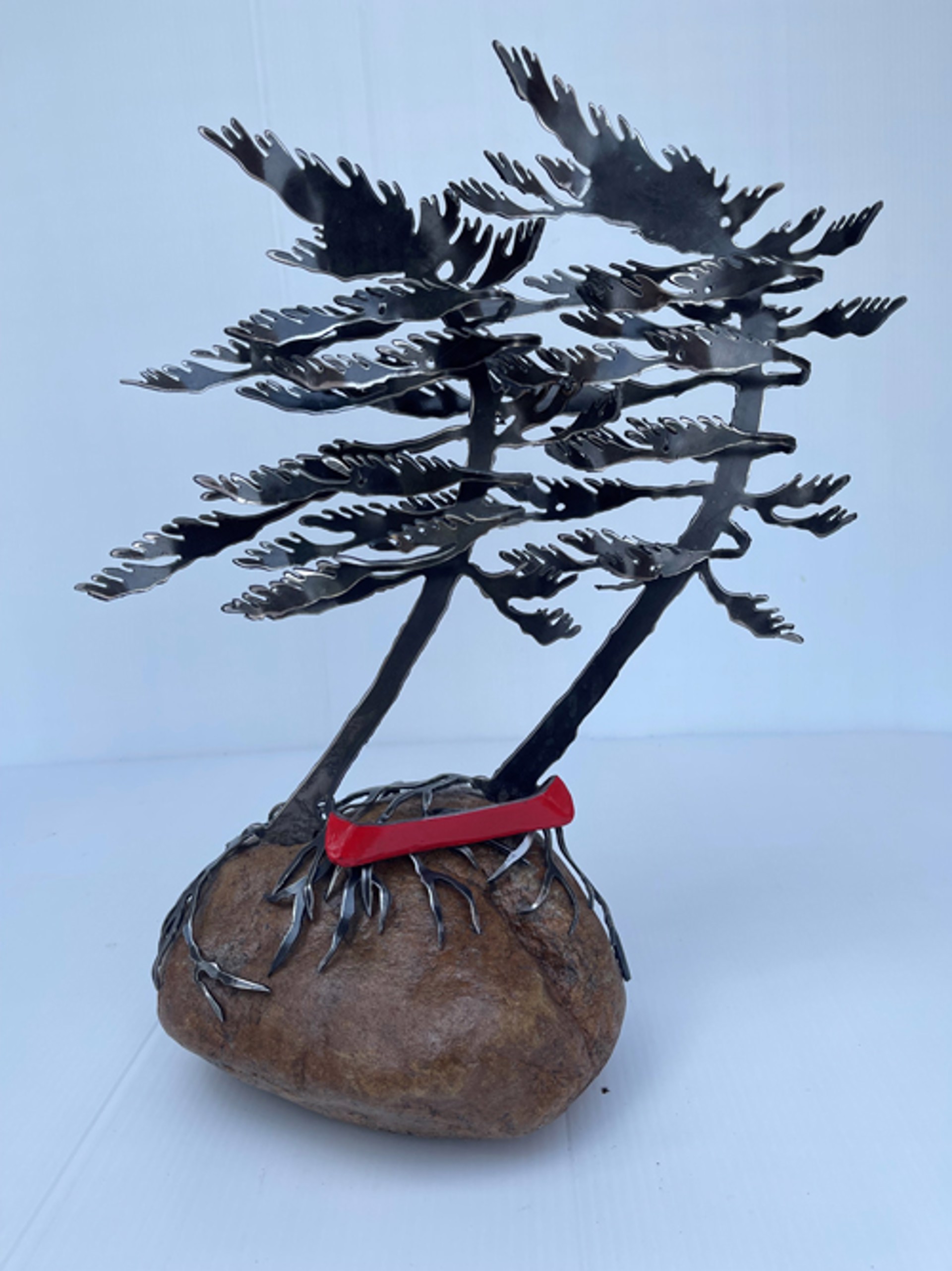 Two Trees with Red Canoe on Rock by Cathy Mark
