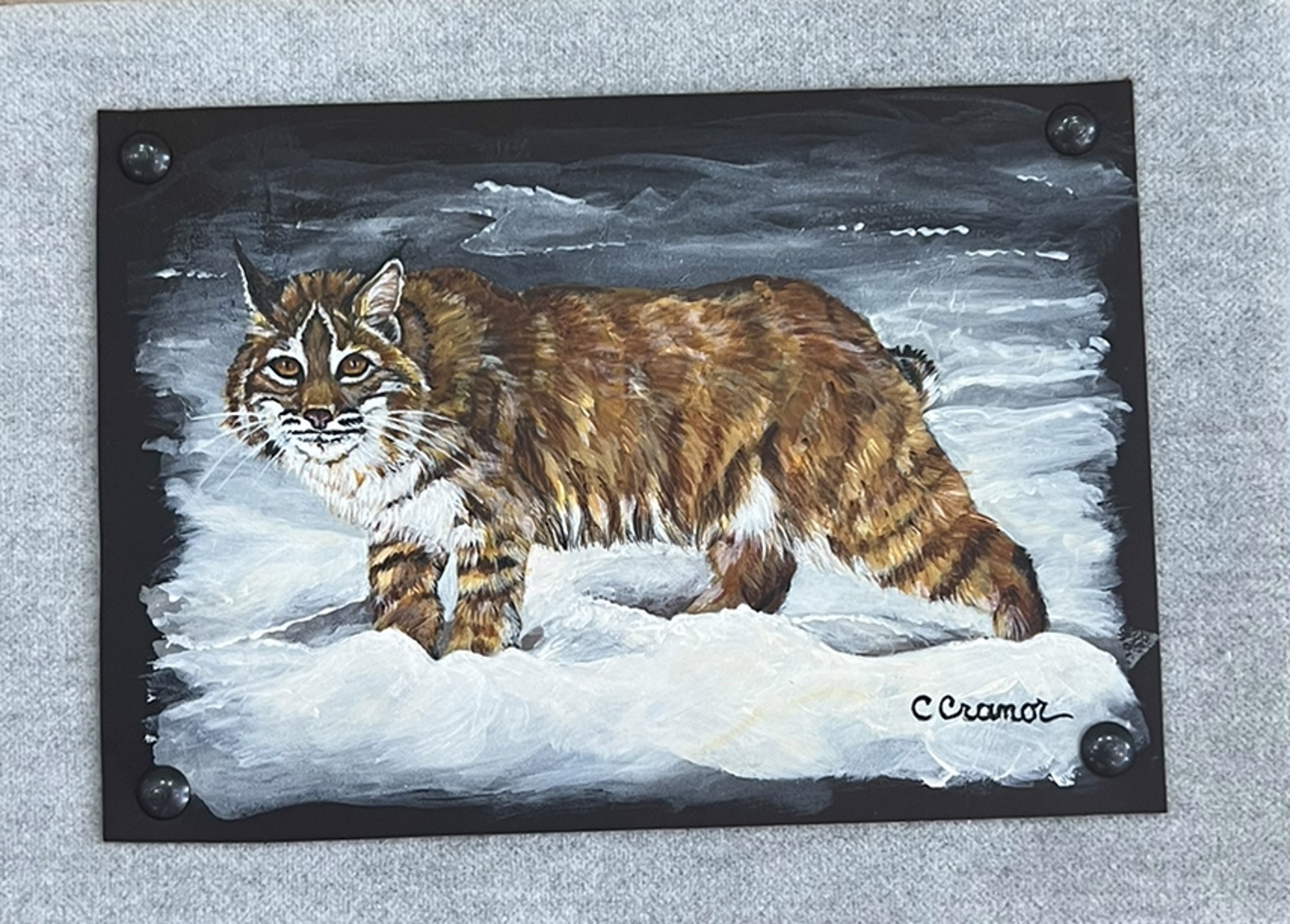 Trekking Bobcat by Cindy Cranor