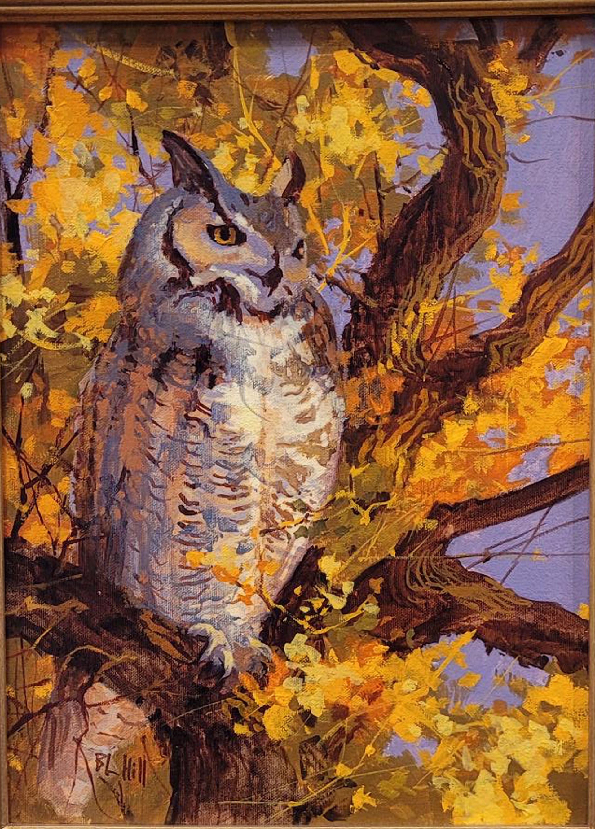 Great Horned Owl by Barbara Hill