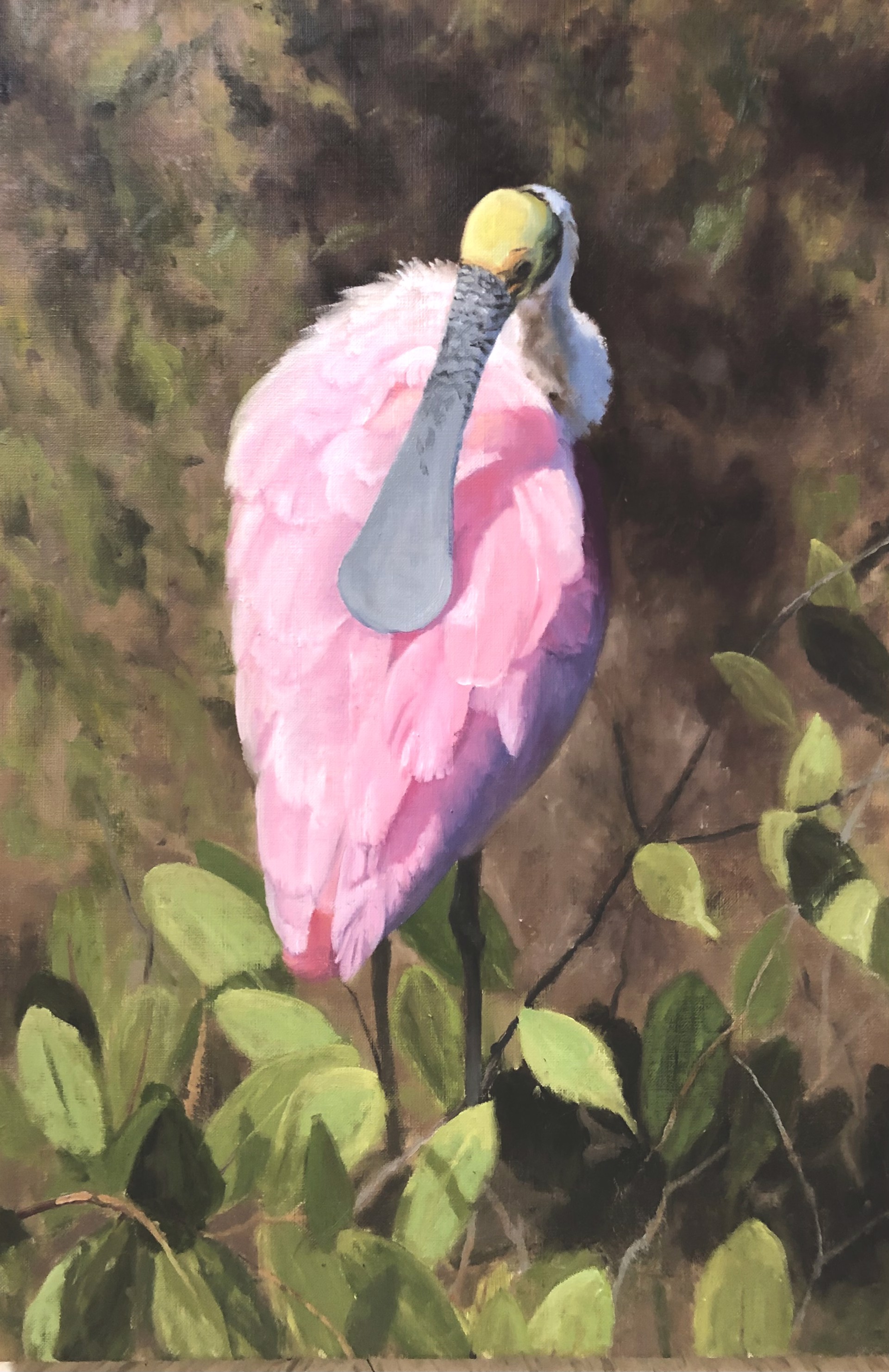 Spoonbill by Beverly Ford Evans