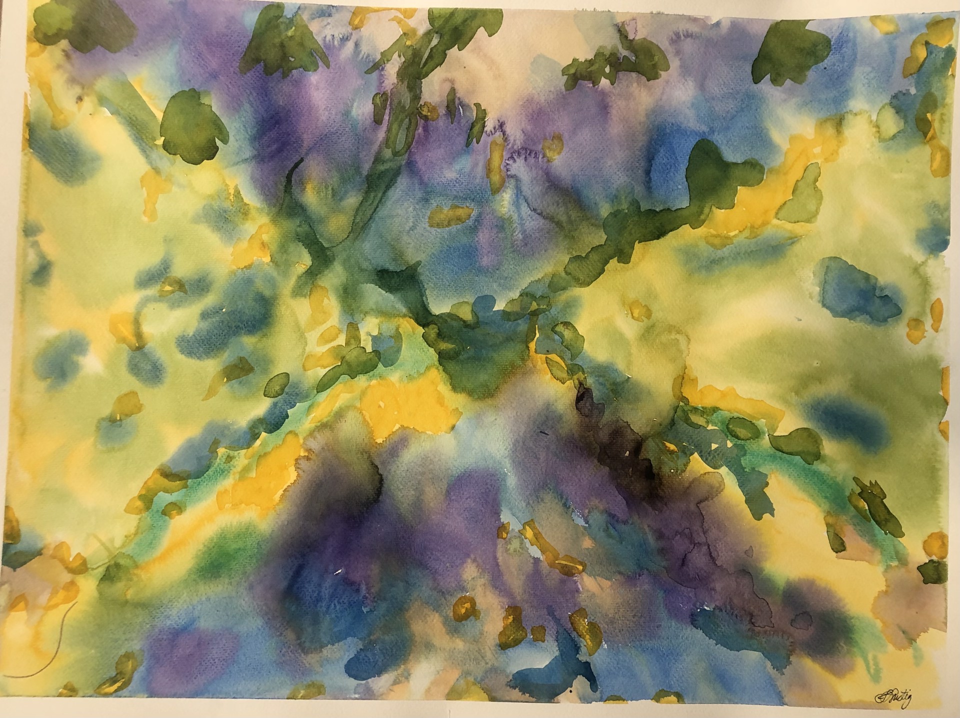 The Pond by Steven Lustig