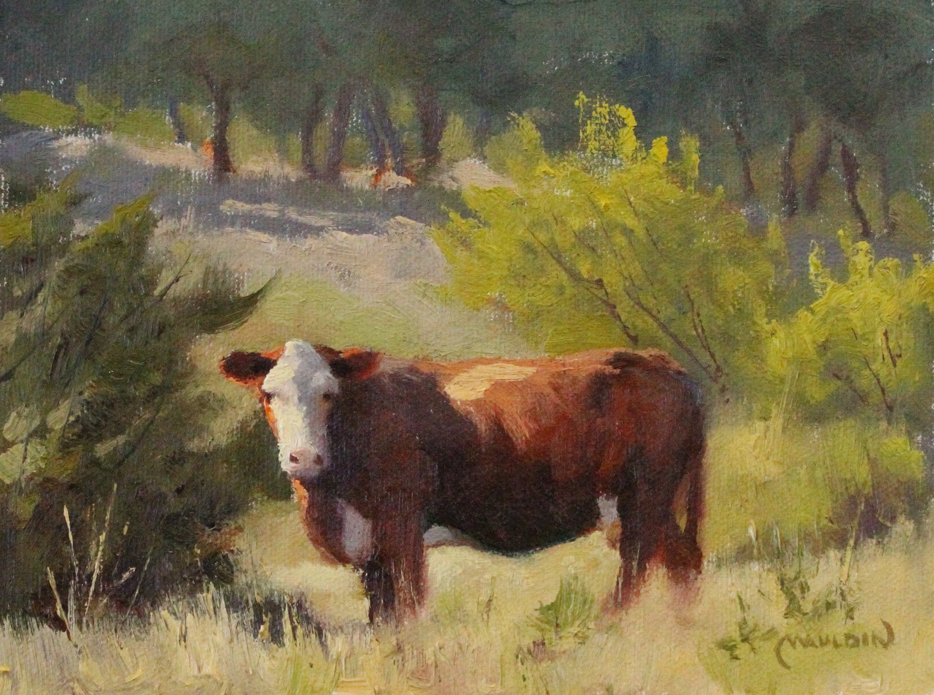 Basse Ranch Resident by Chuck Mauldin