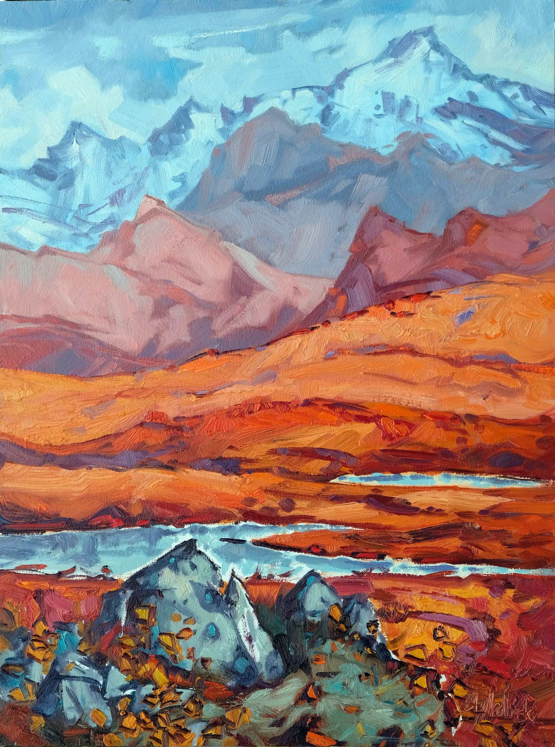 Alaska Range by Dominik Modlinski