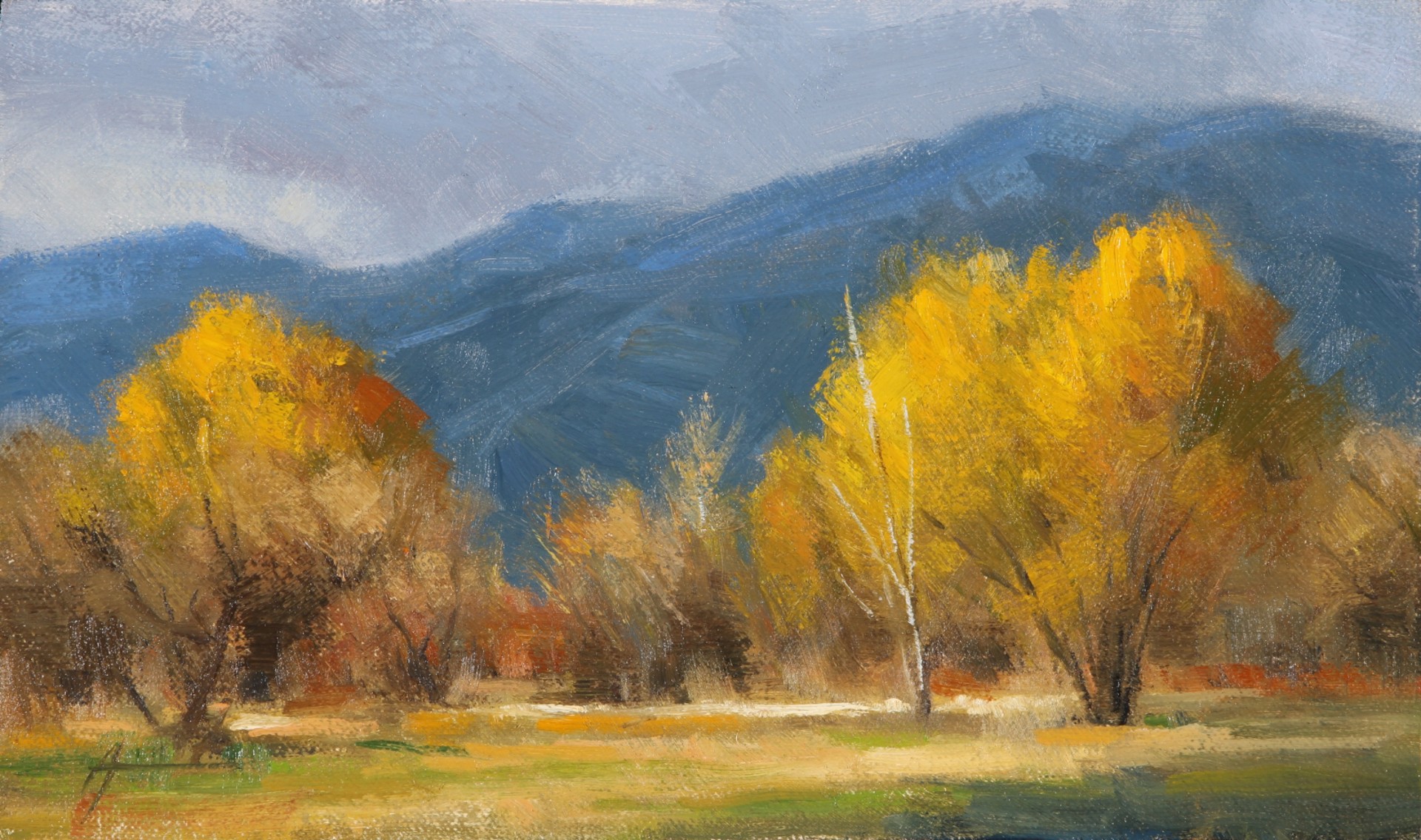 Near Taos by Ed Aldrich