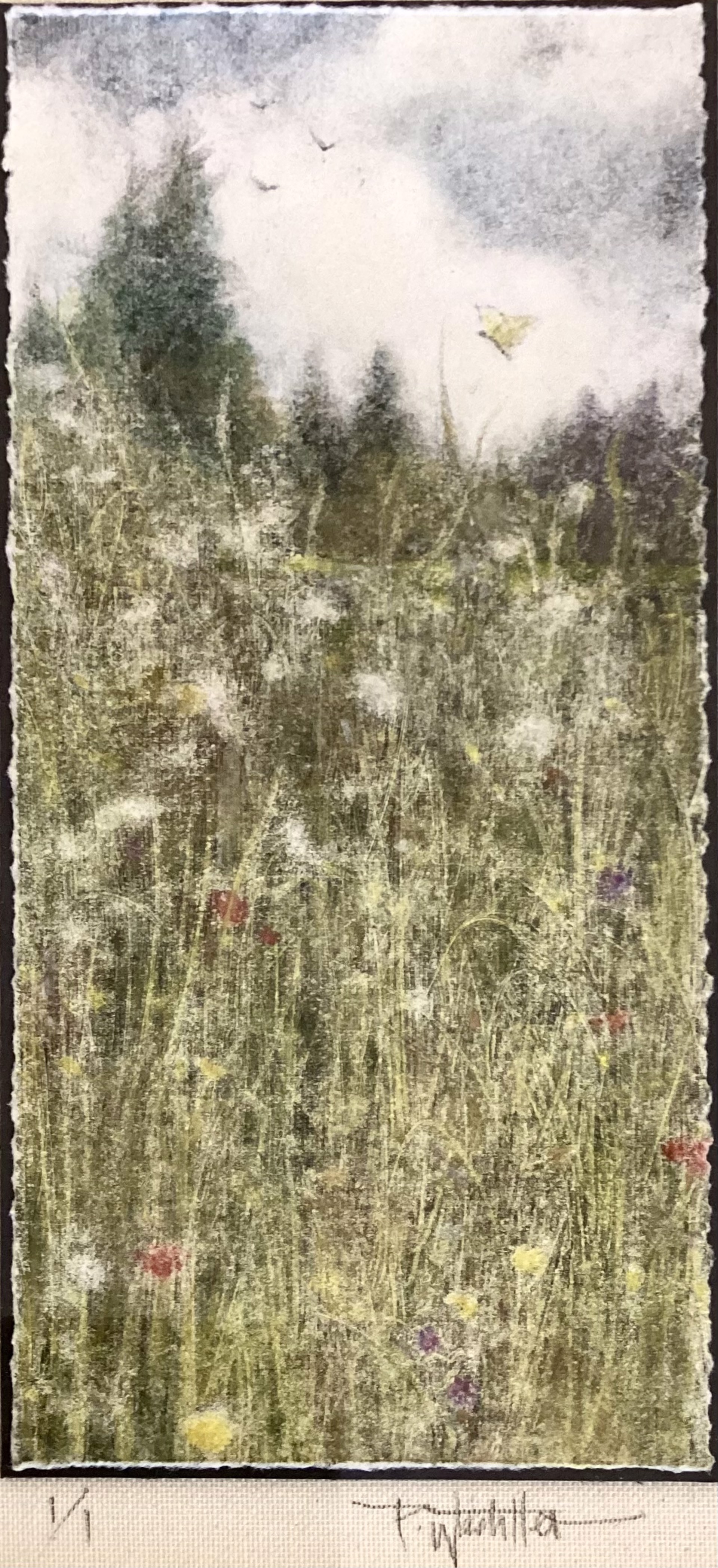 Meadow by Pamela Wachtler