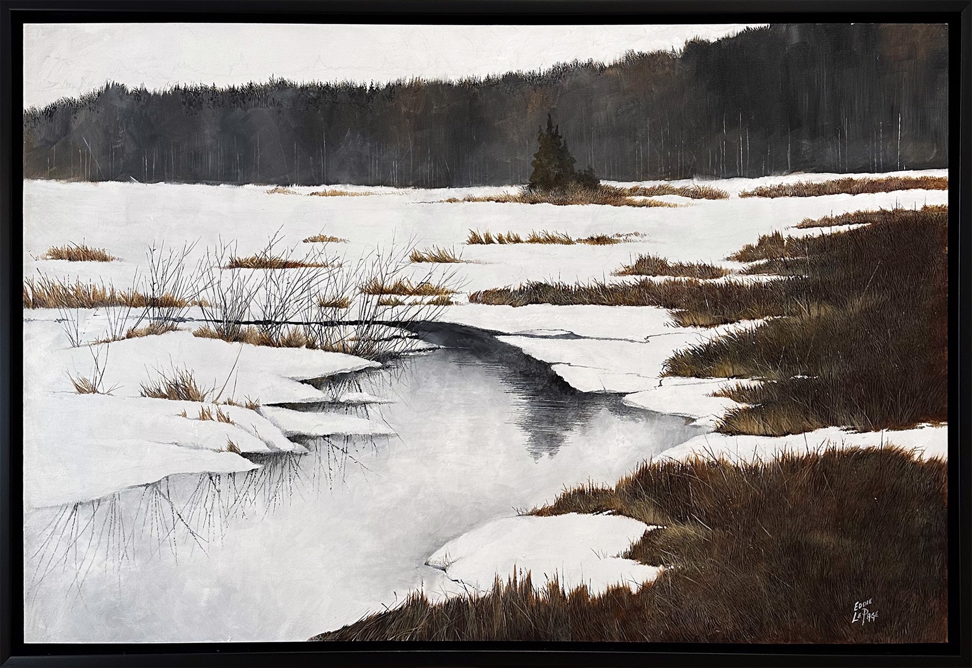 Frozen Marsh by Eddie LePage
