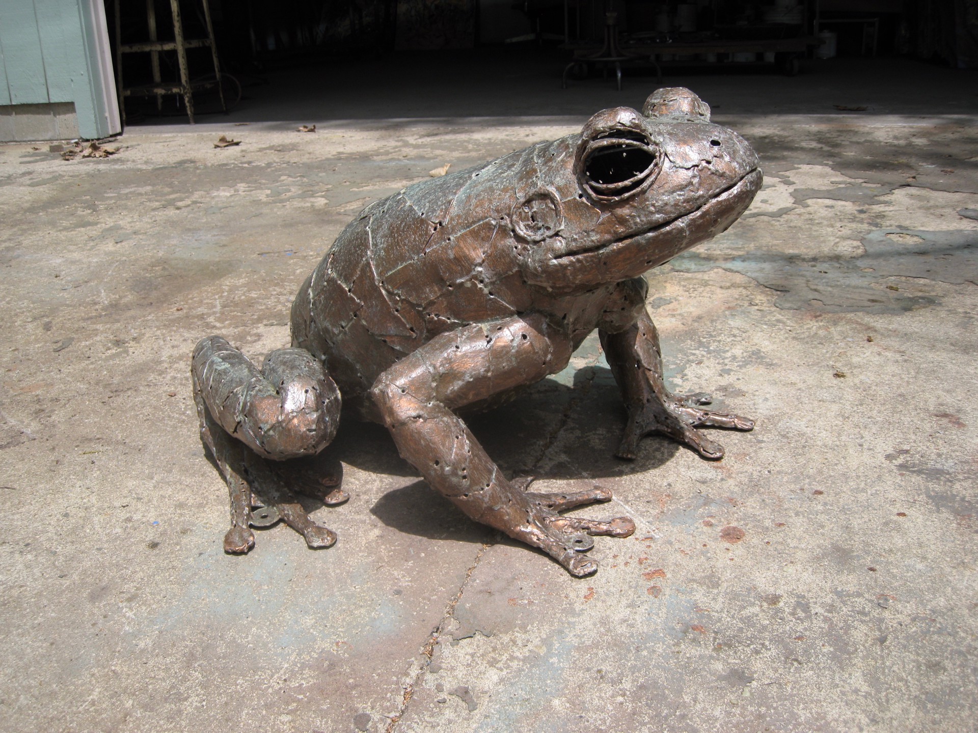 Large Frog by William Allen