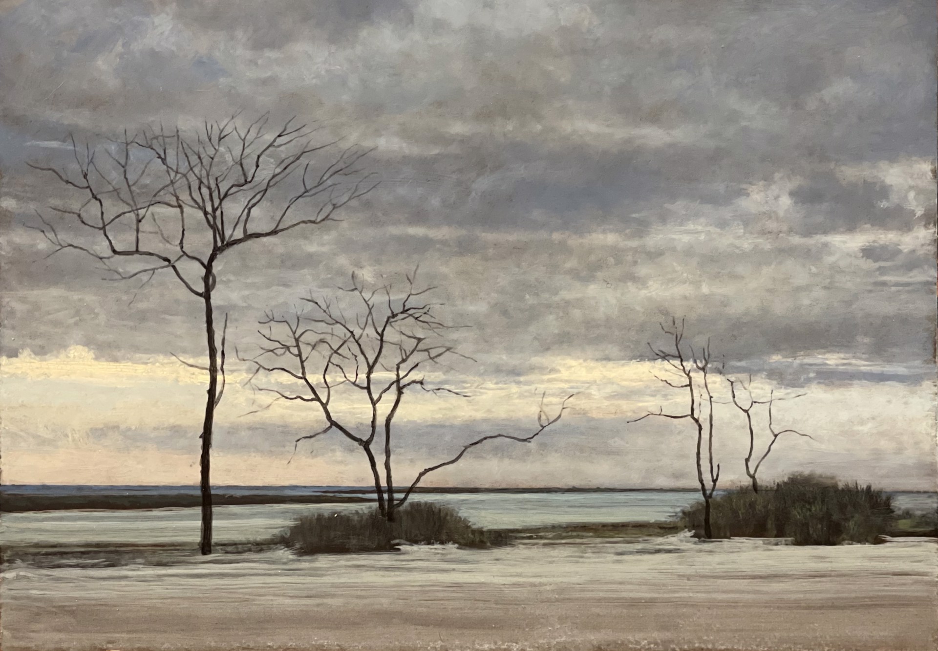 Bare Trees, Fort DeSoto by Jeff Aeling