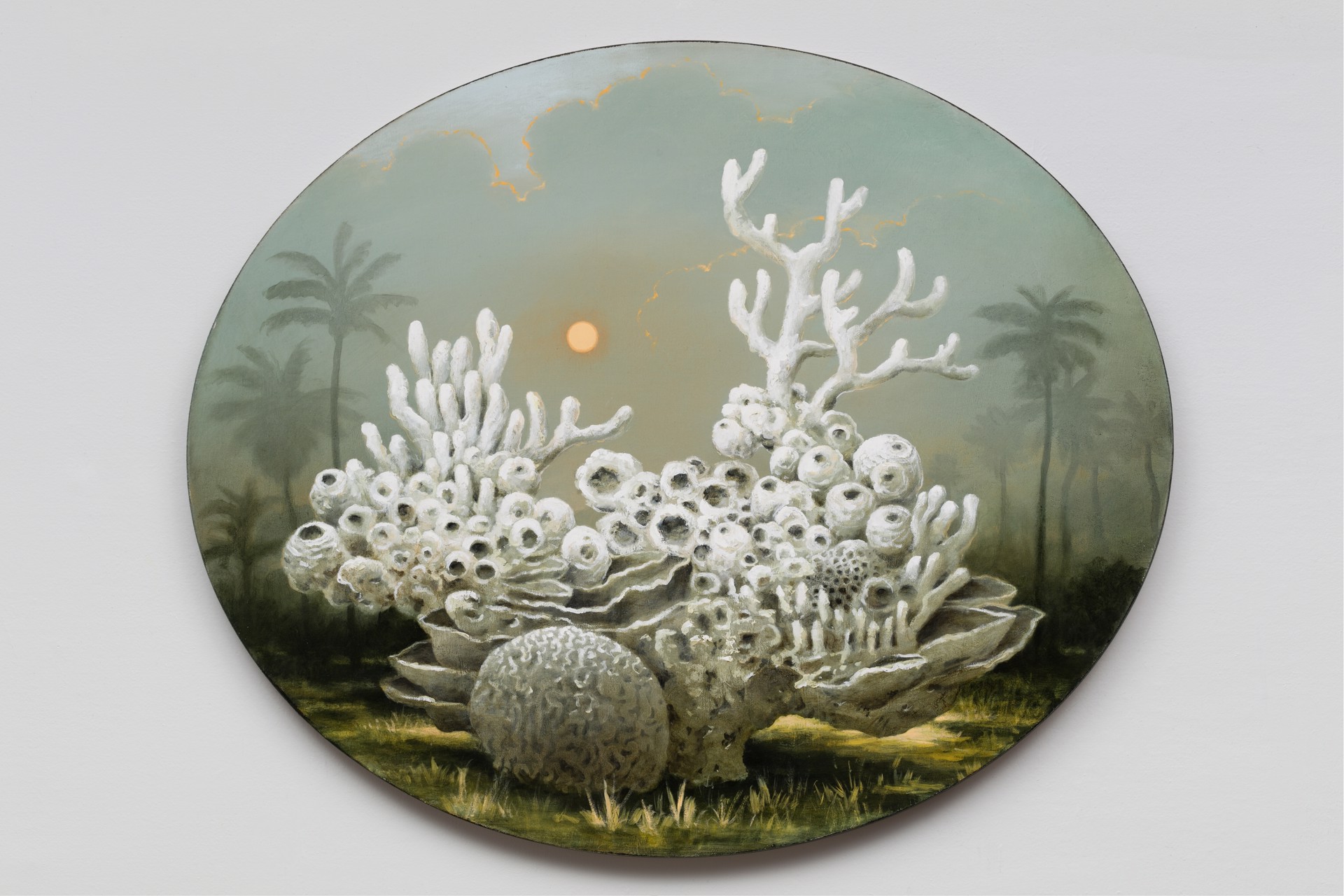 The Reef by Kevin Sloan