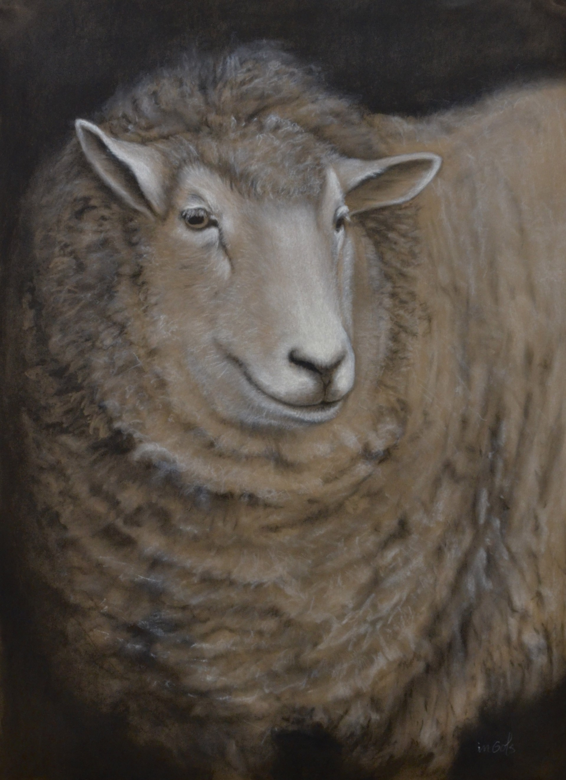 Happy Sheep by Jane Ingols