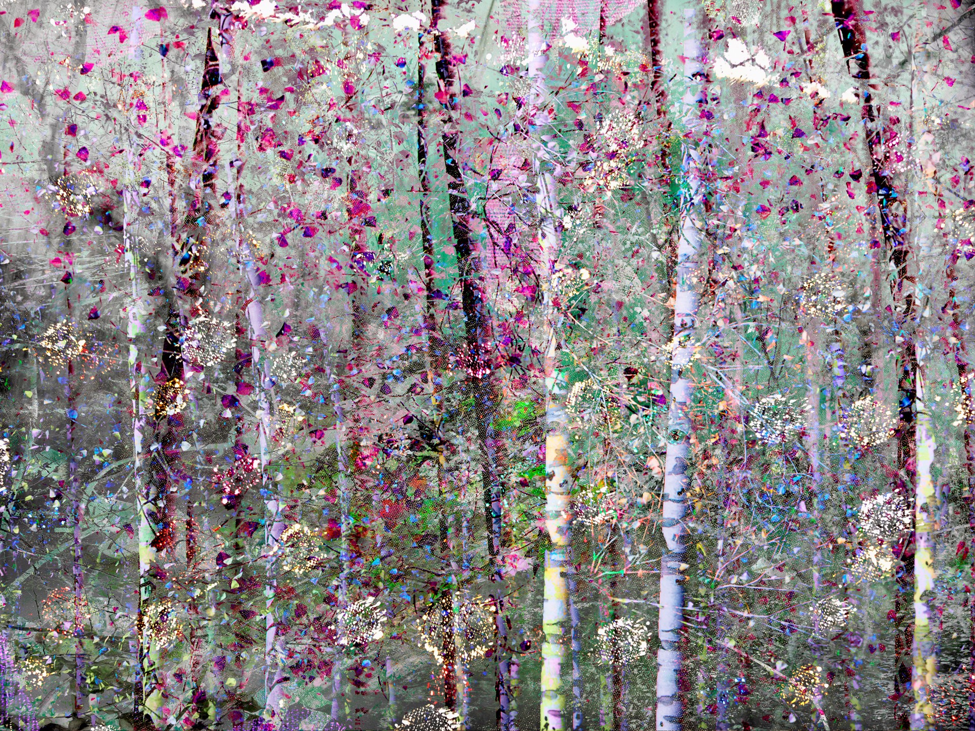 MAGIC FOREST by CAROL EISENBERG