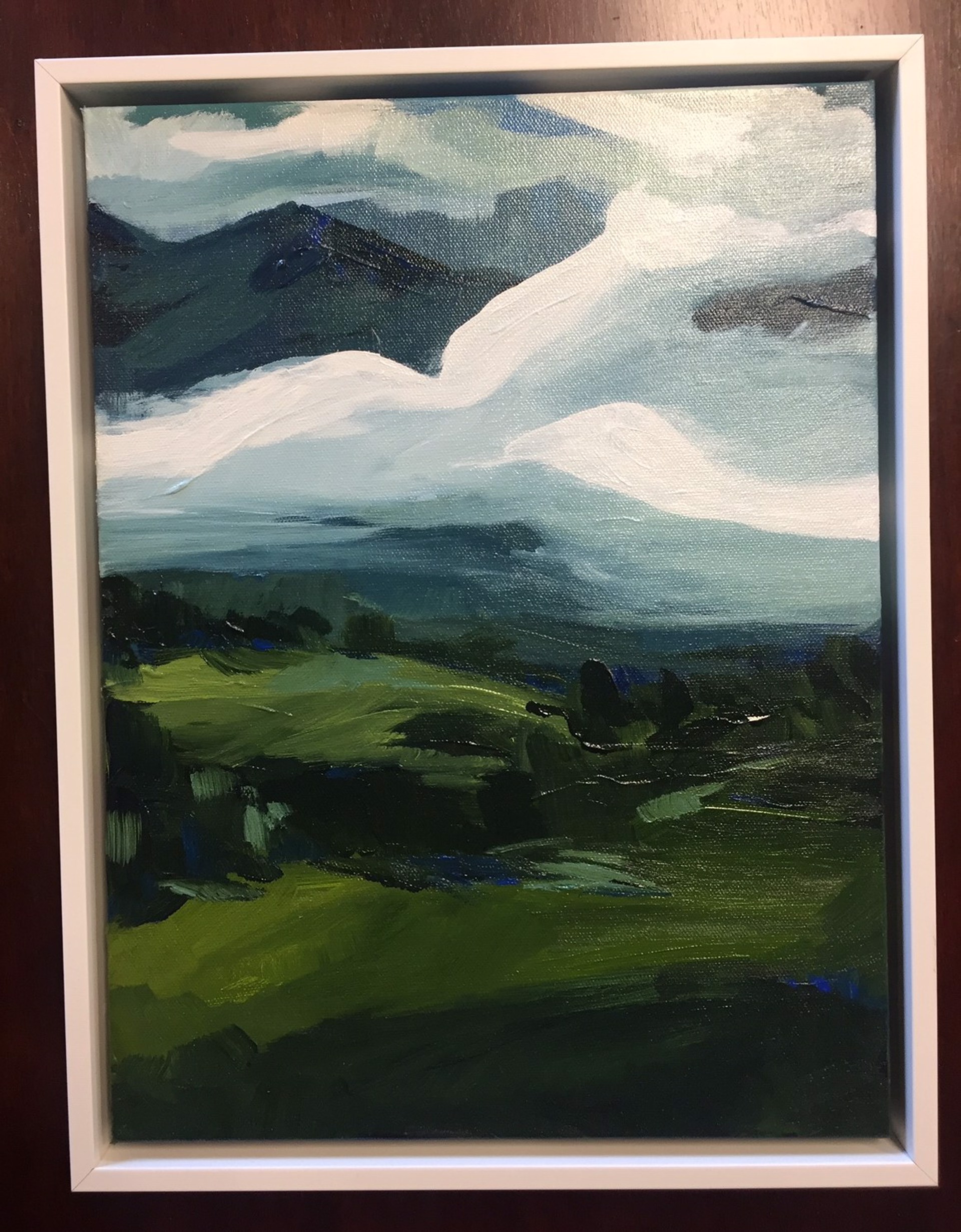 Montana Clouds by Dianna Bartel