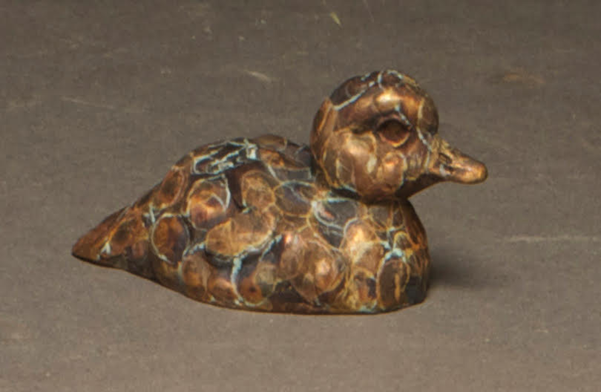 Orphan Mini - Wood Duck Duckling by Stefan Savides