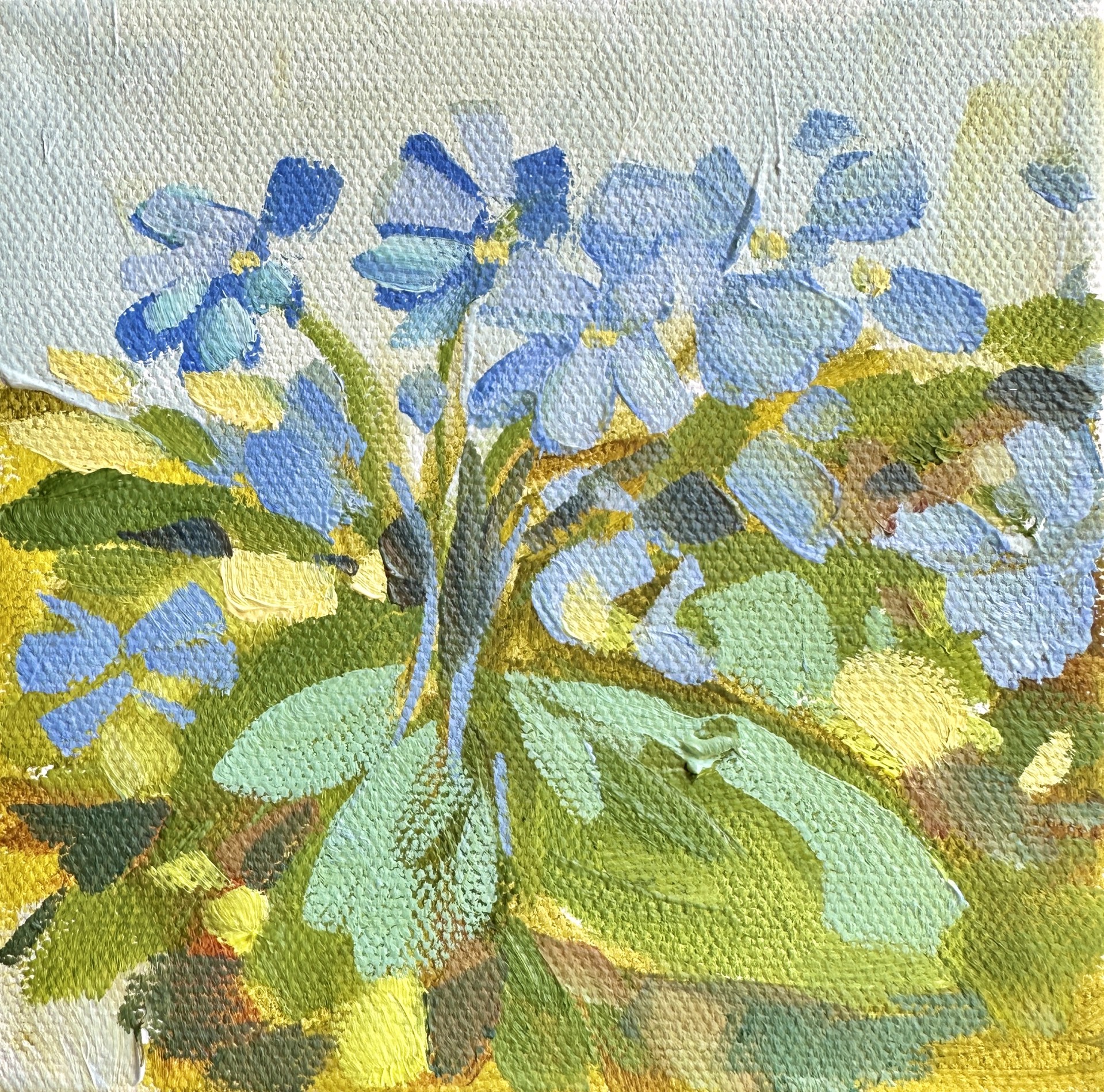 Small Forget Me Not 2 by Shannon Woodford