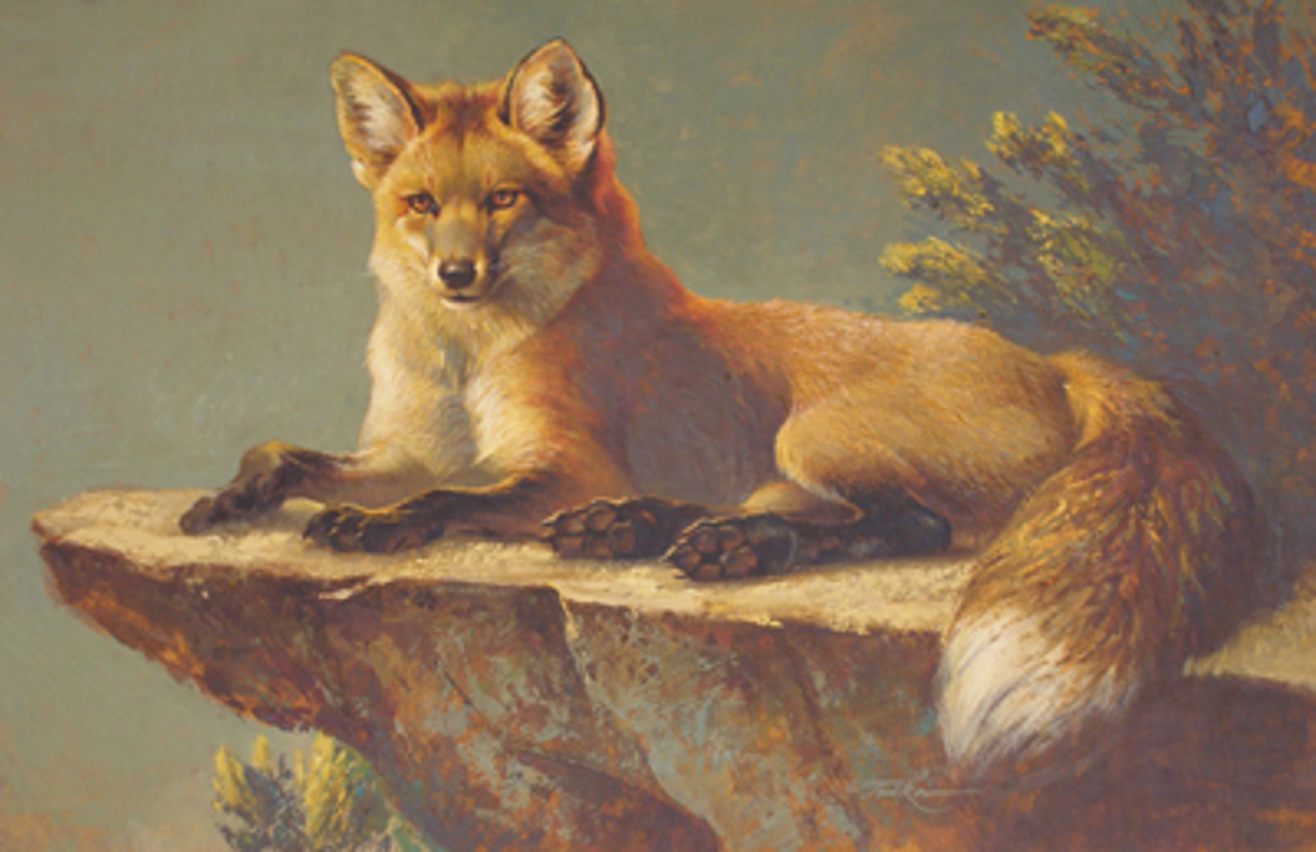 Fox On a Rock by Ezra Tucker
