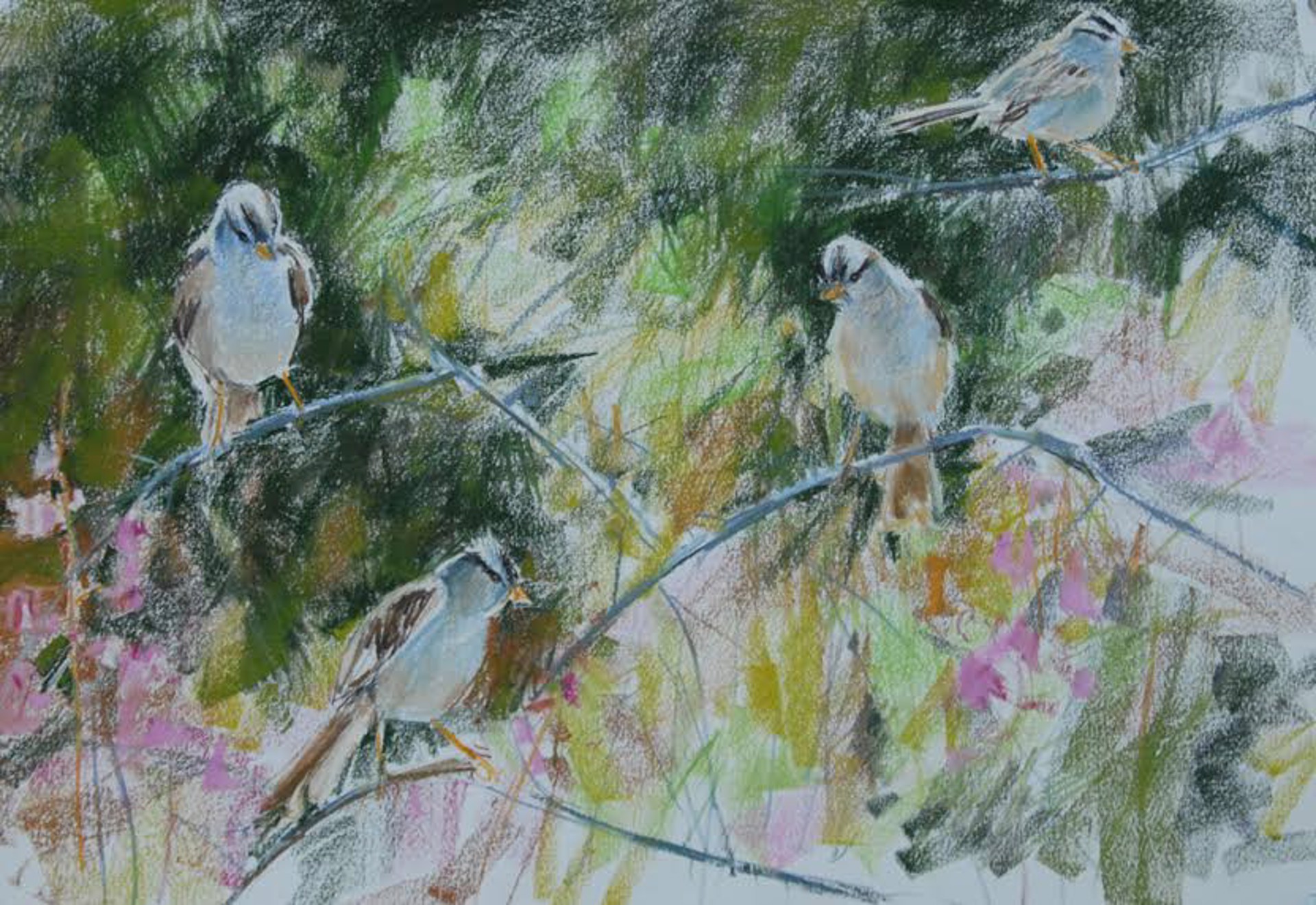 White Crowned Sparrows by Randena Walsh