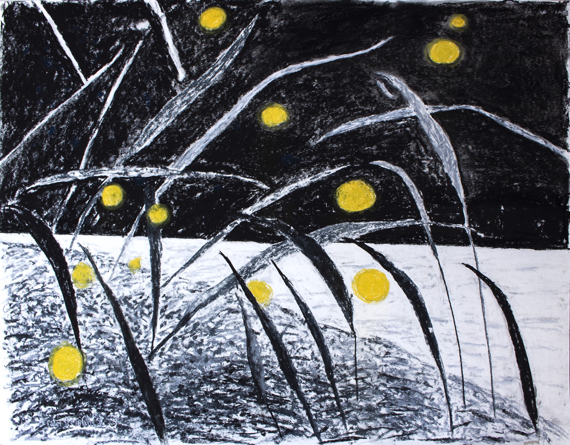 Fireflies at Laguna by Isabel Stensland