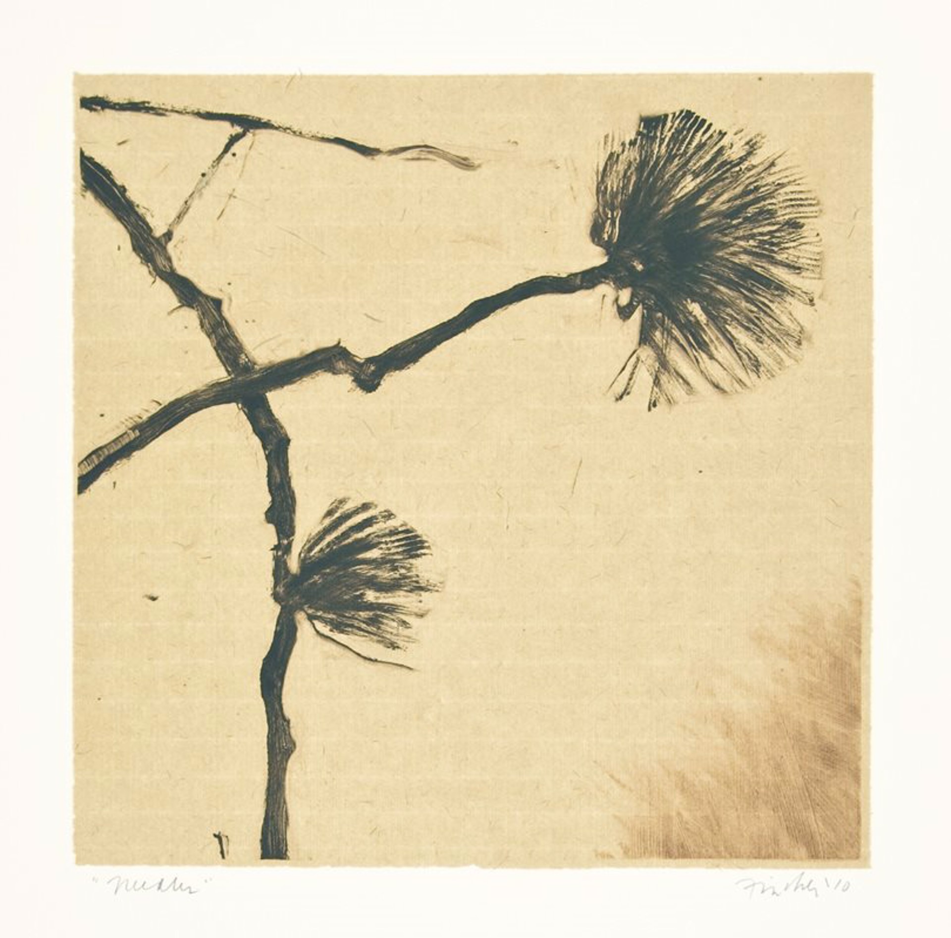 Needles by John Fincher