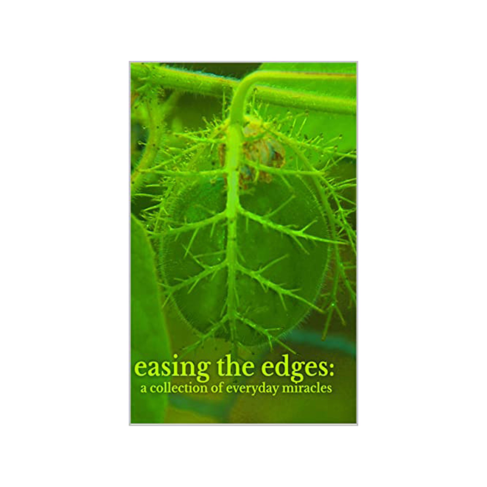 Easing the Edges: a Collection of Everyday Miracles by Various Writers, Editor D. Ellis Phelps