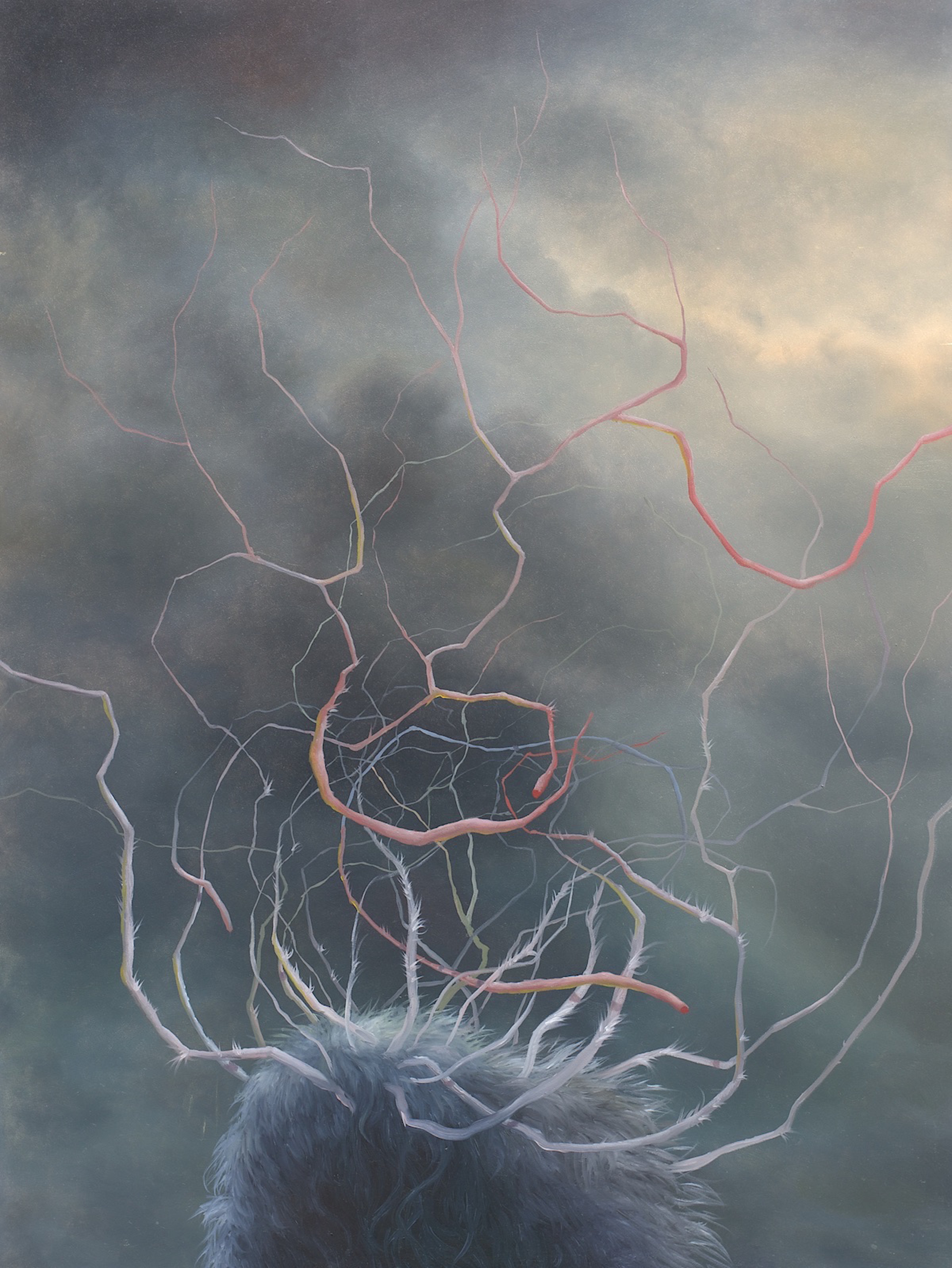Echolation by Ashley Eliza Williams
