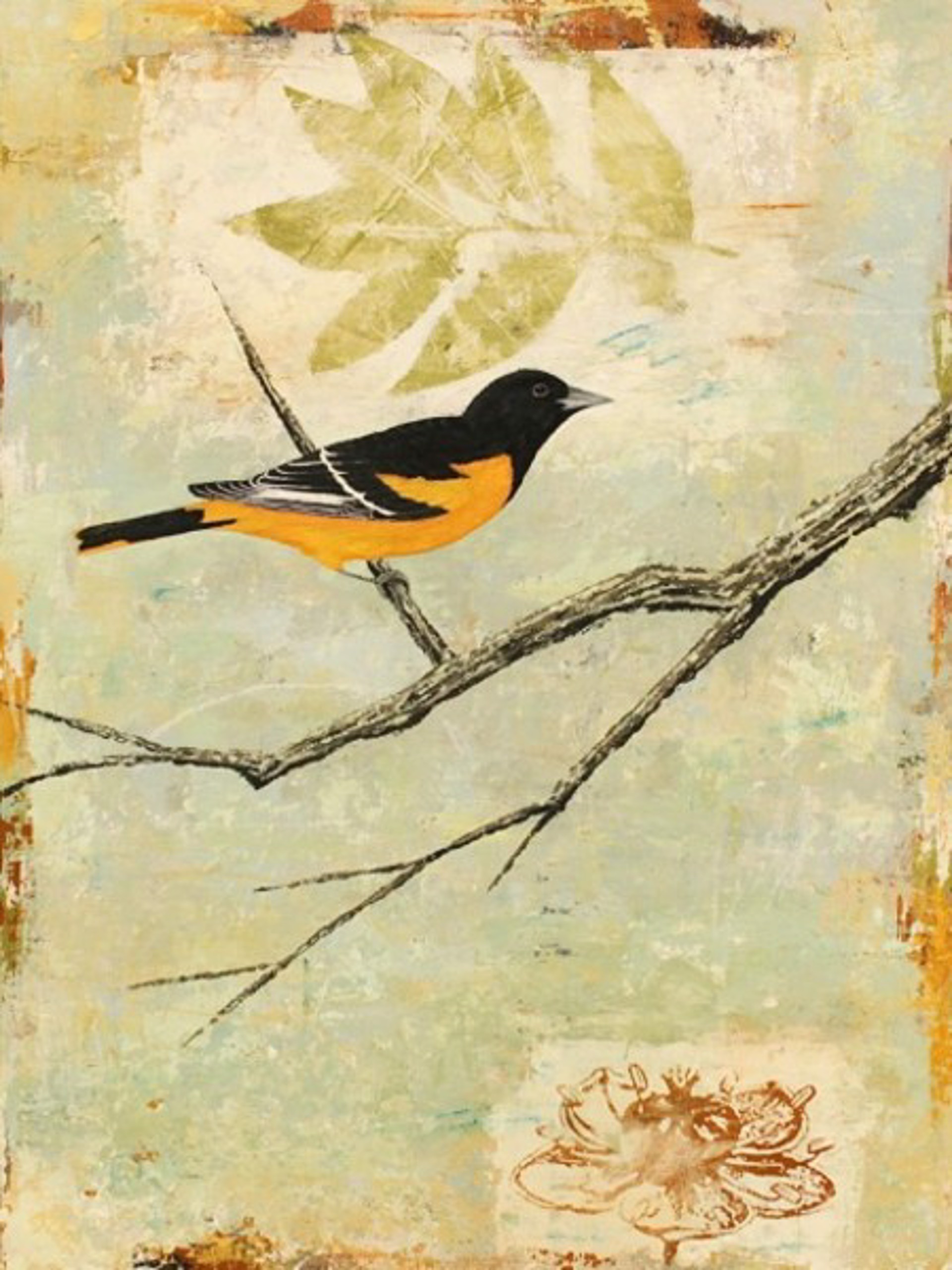Baltimore Oriole by Paul Brigham