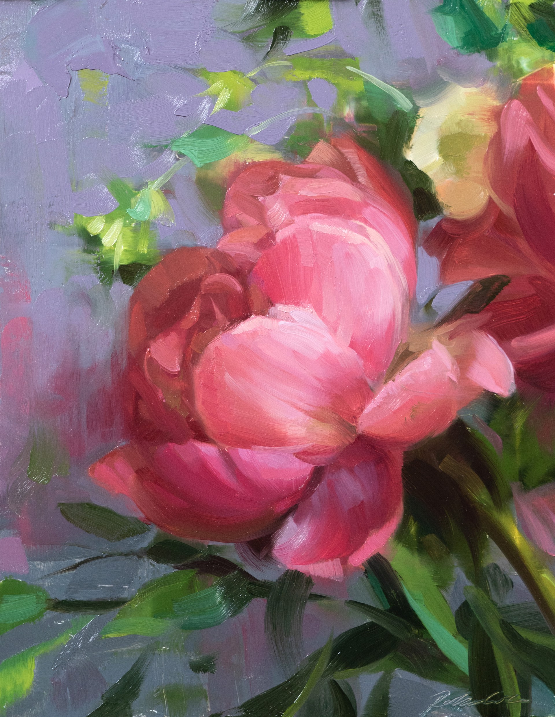 Pink Peony by Robin Cole
