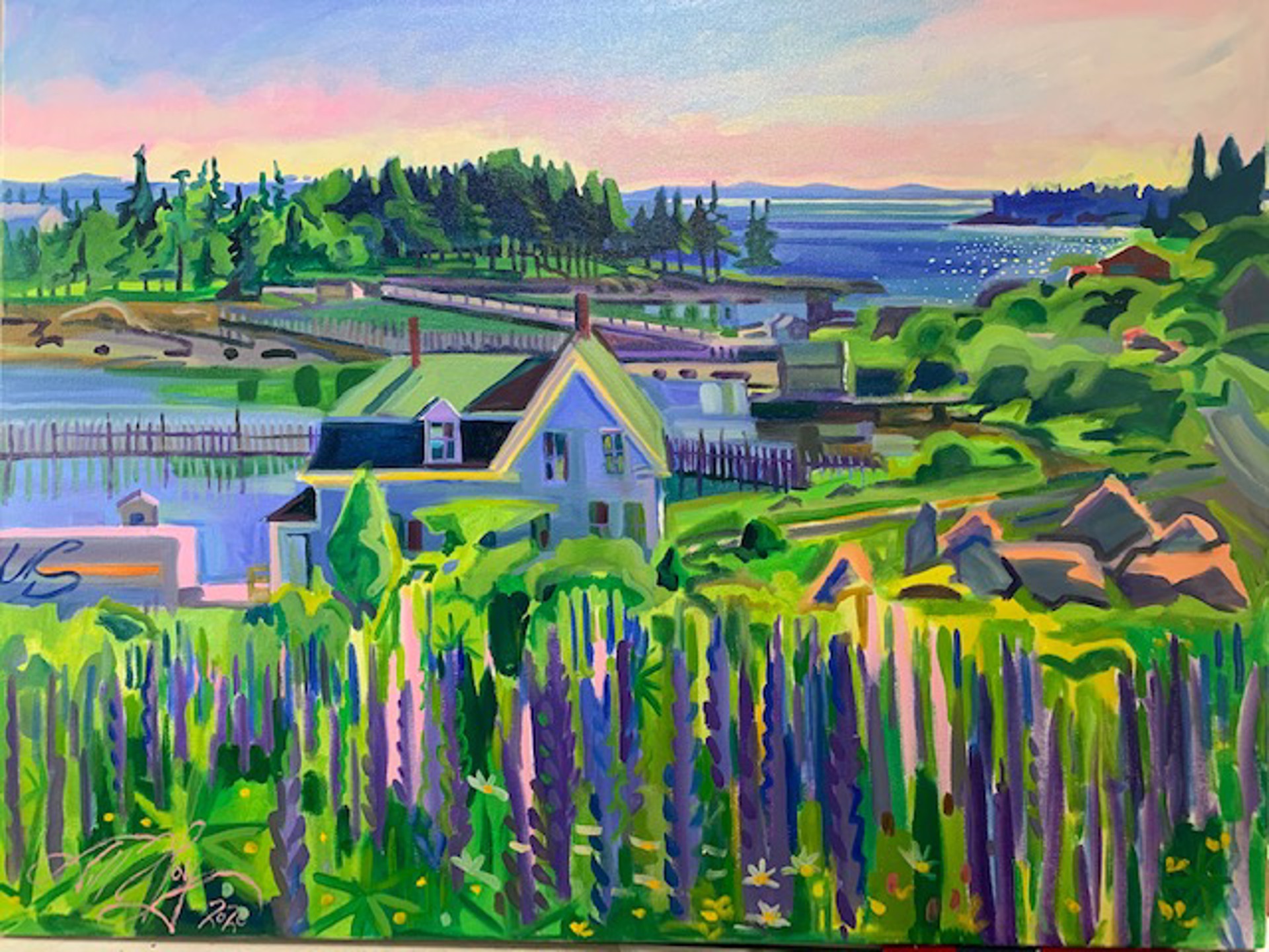 Lupine Over Moose Island by Jill Hoy