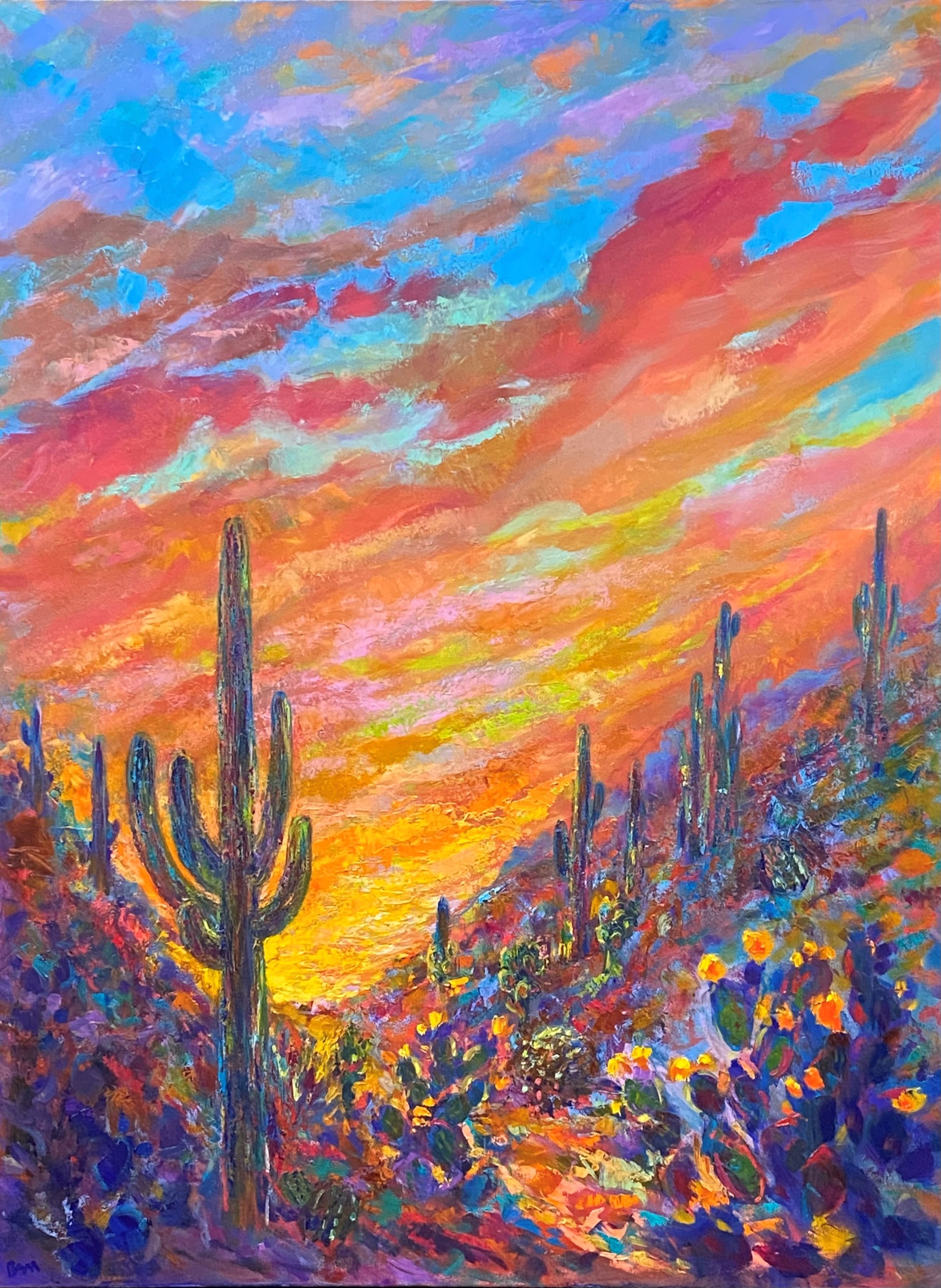 Canyon Afterglow by Barbara Meikle