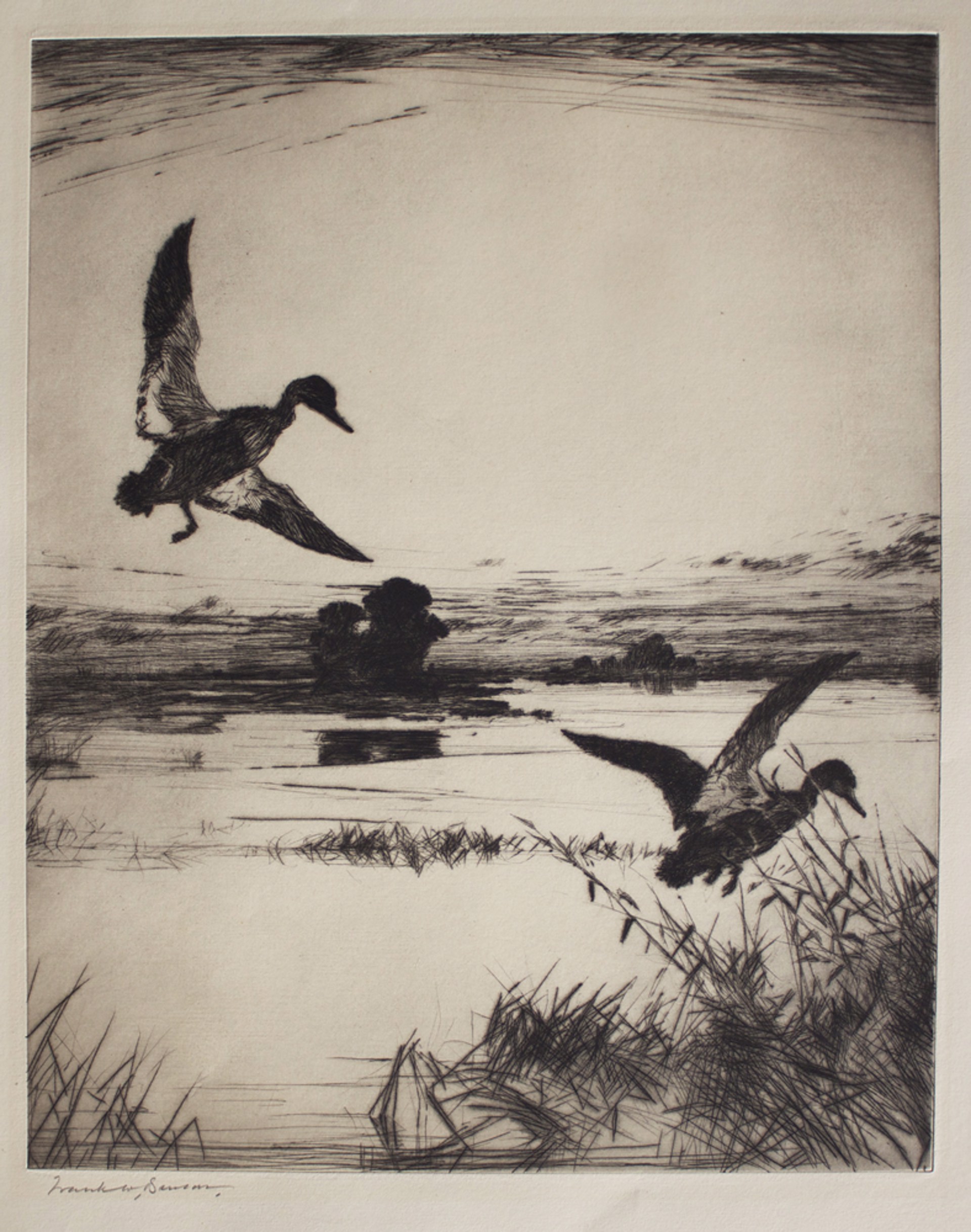 Two Black Ducks by Frank Weston Benson