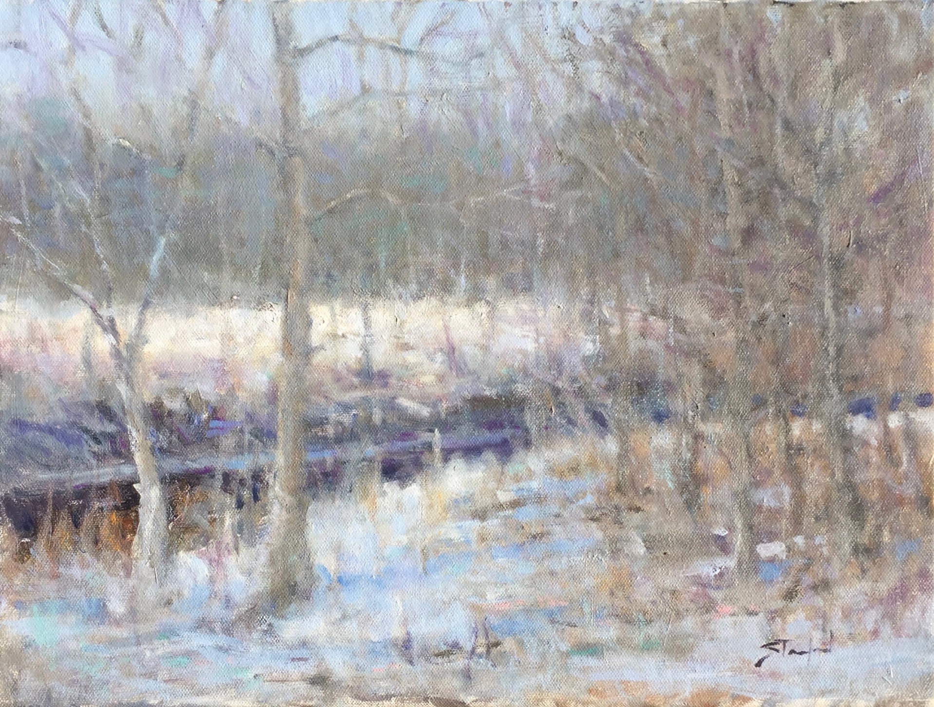 Snow in North Georgia by John Stanford
