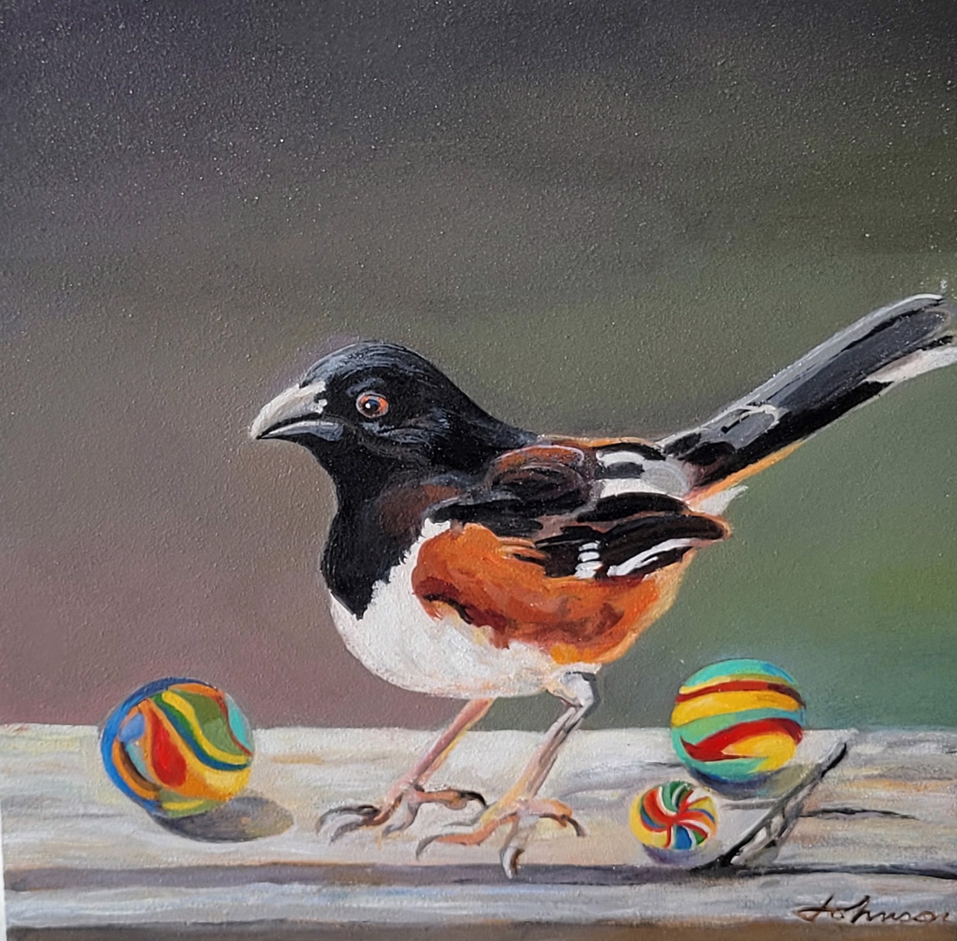 Towhee with Marbles (Red, Black, and White bird) by Nancy Johnson