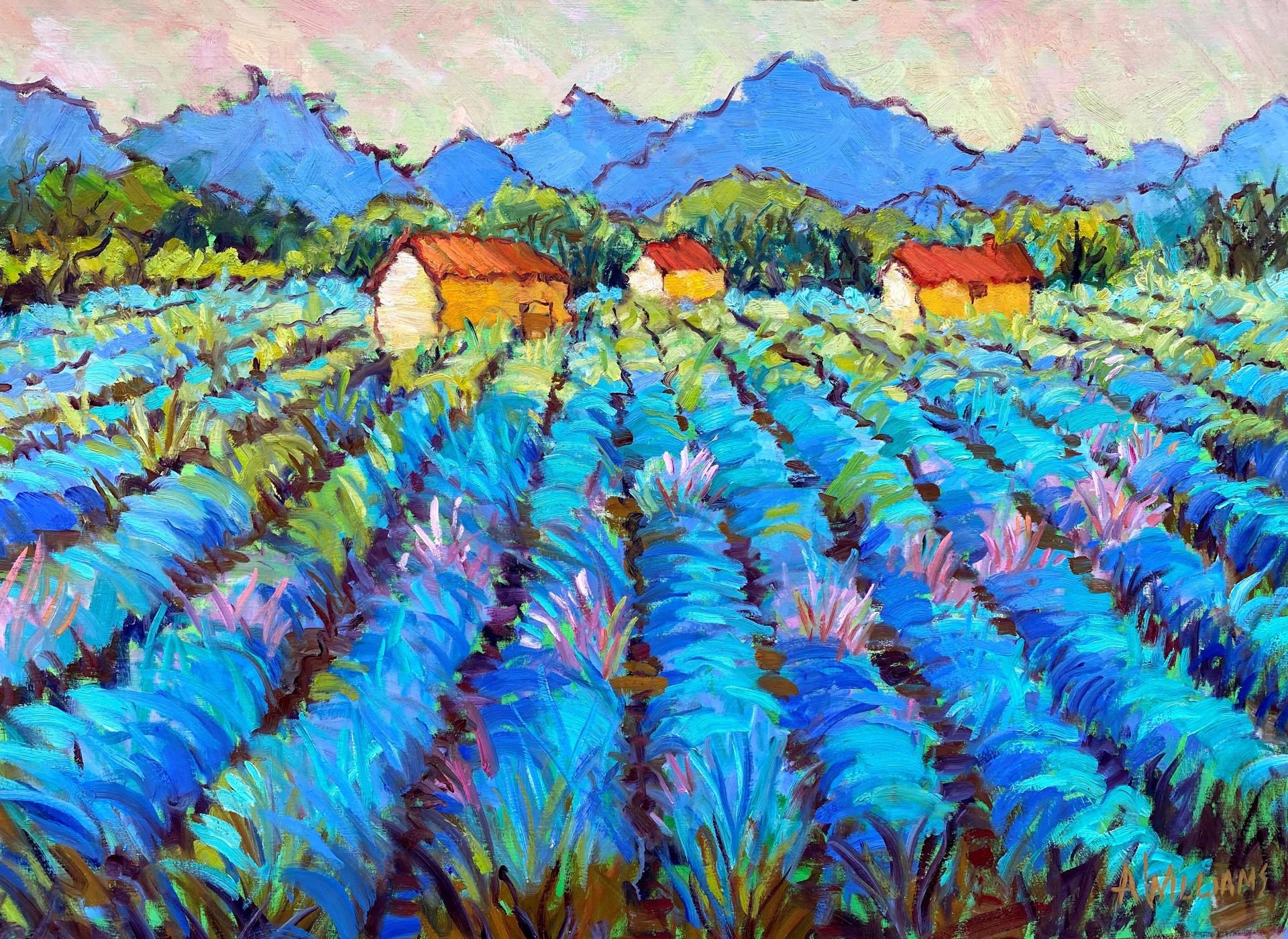 Provence in June by Alice Williams